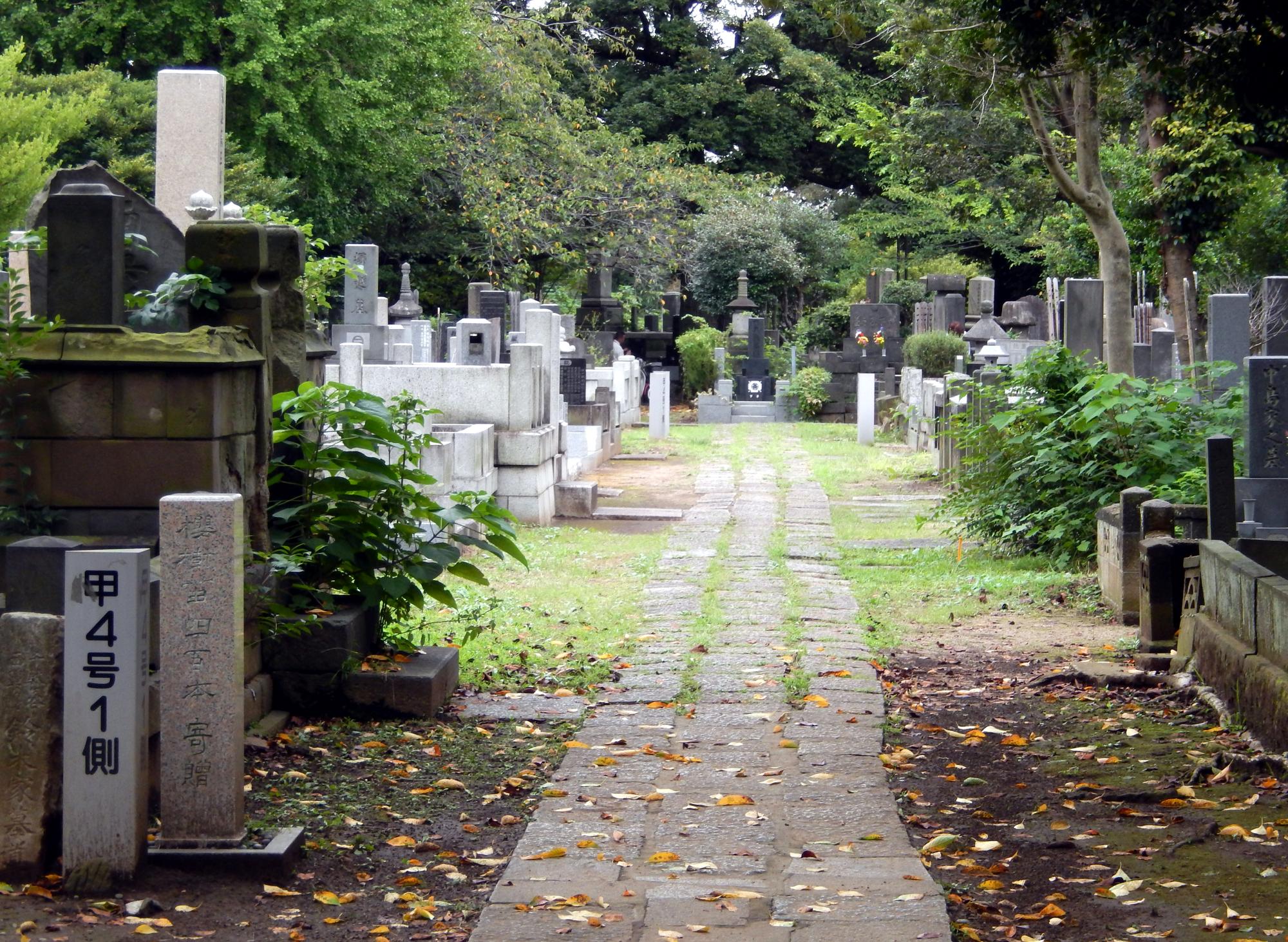 Tokyo (2016) - Yanaka Cemetery #1