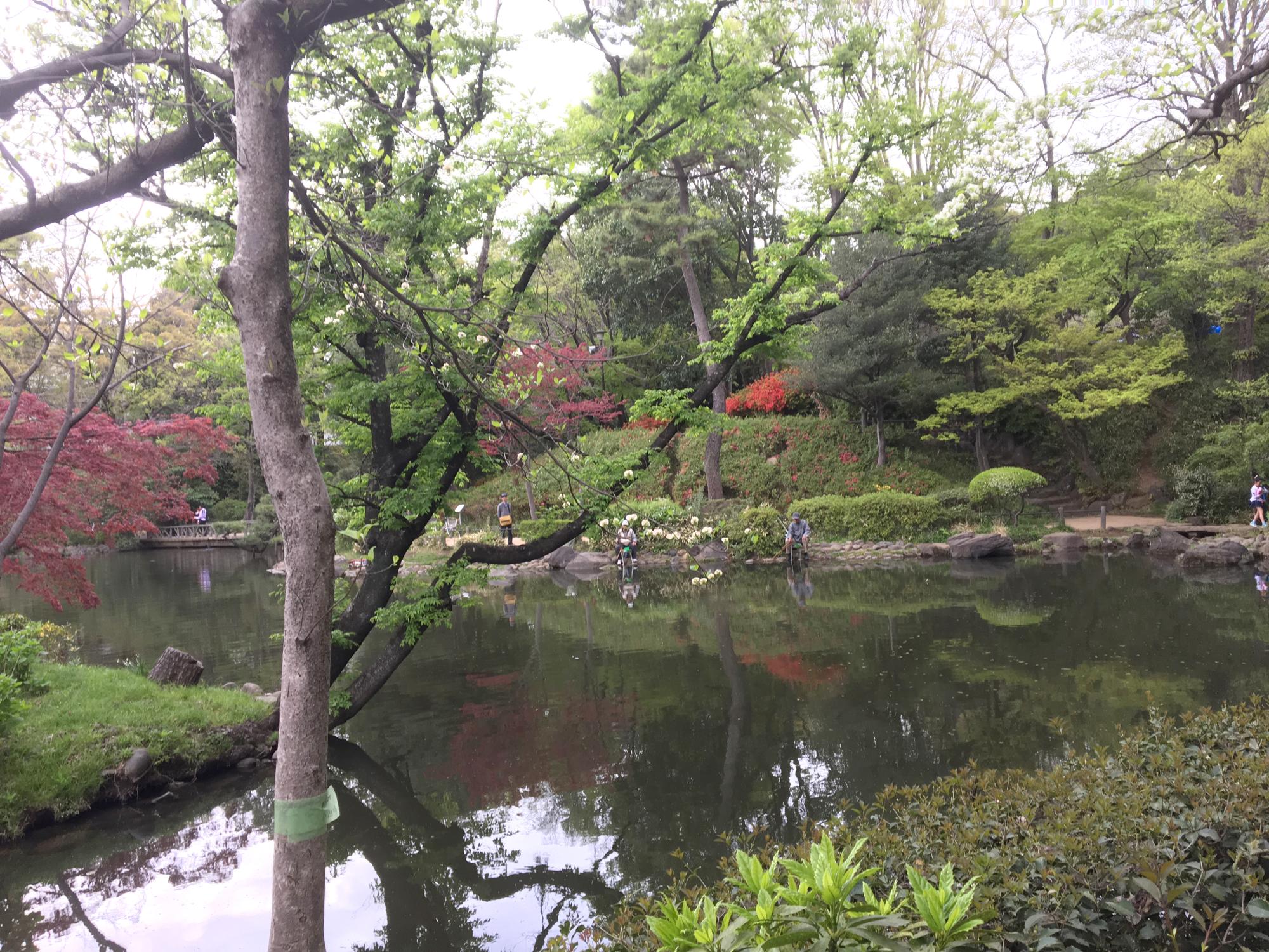 Tokyo (2018) - Fishing Pond