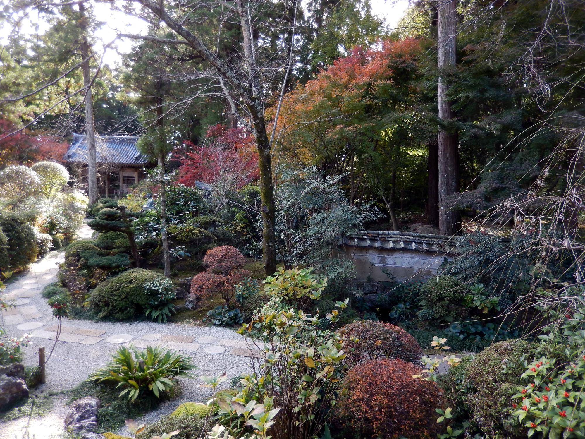 Japan (2015) - Ryotan Ji Temple #06