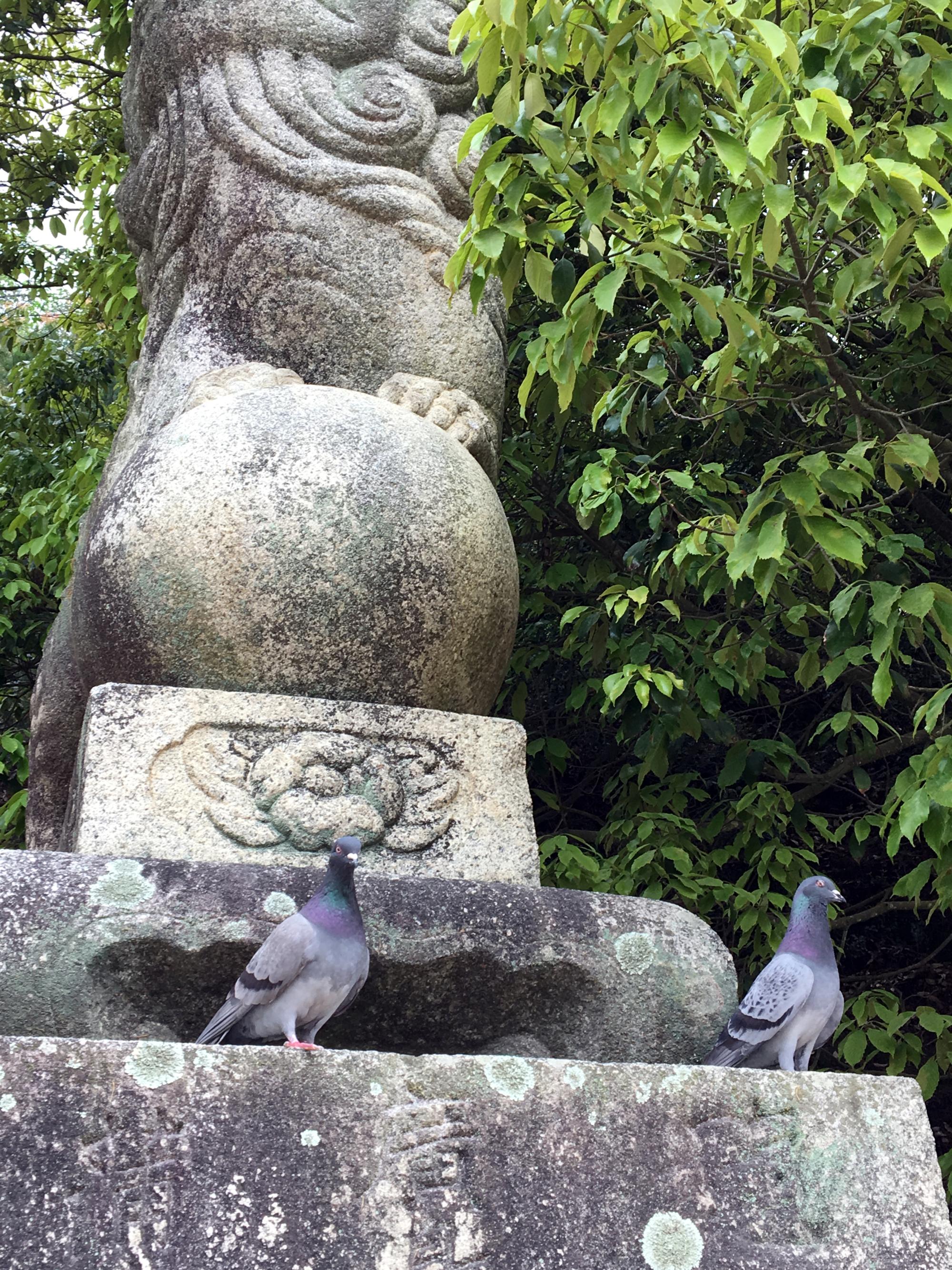 Japan (2017) - Miyajima Island #35