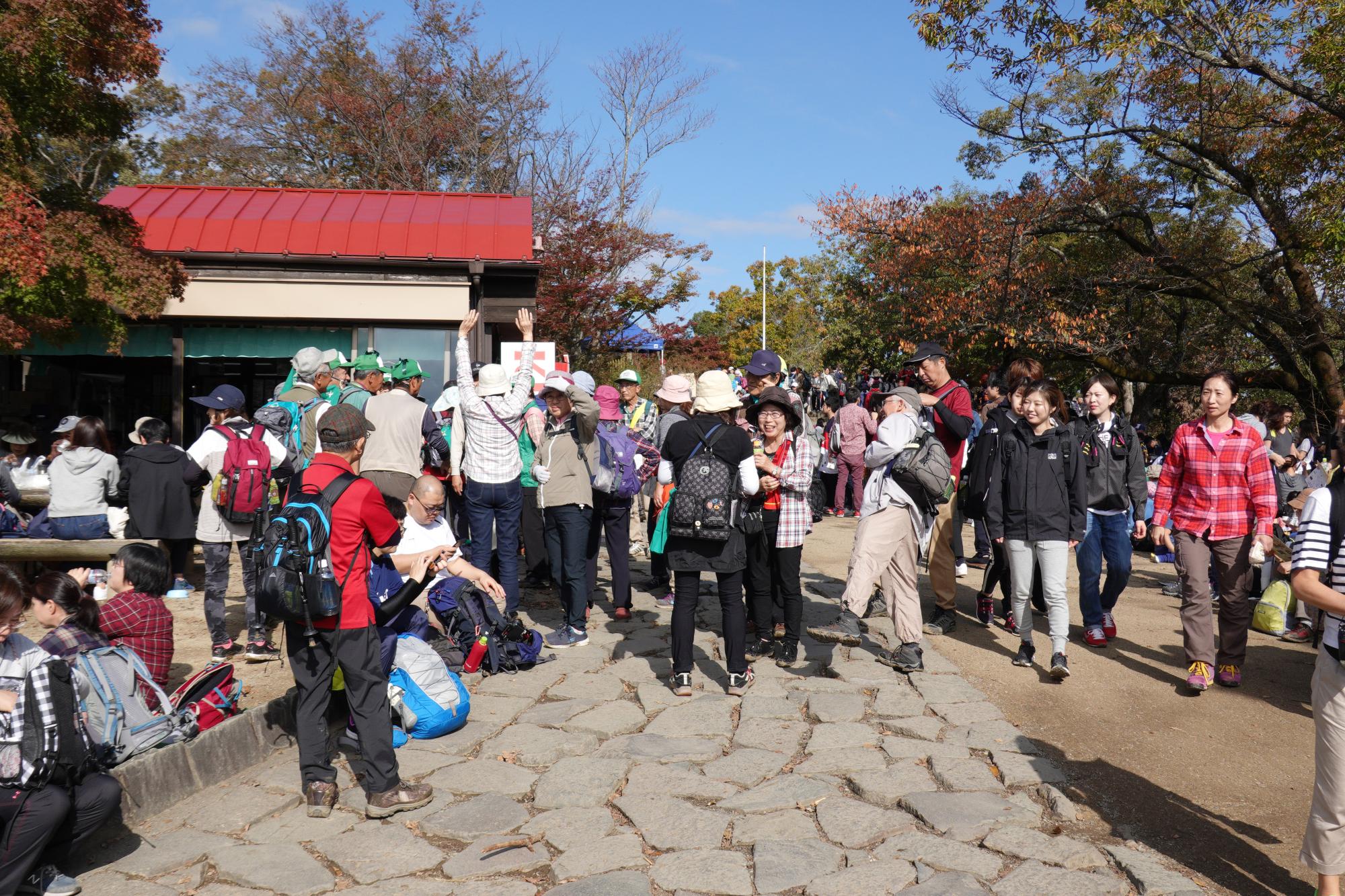 Japan (2018) - Mt Takao Summit #4