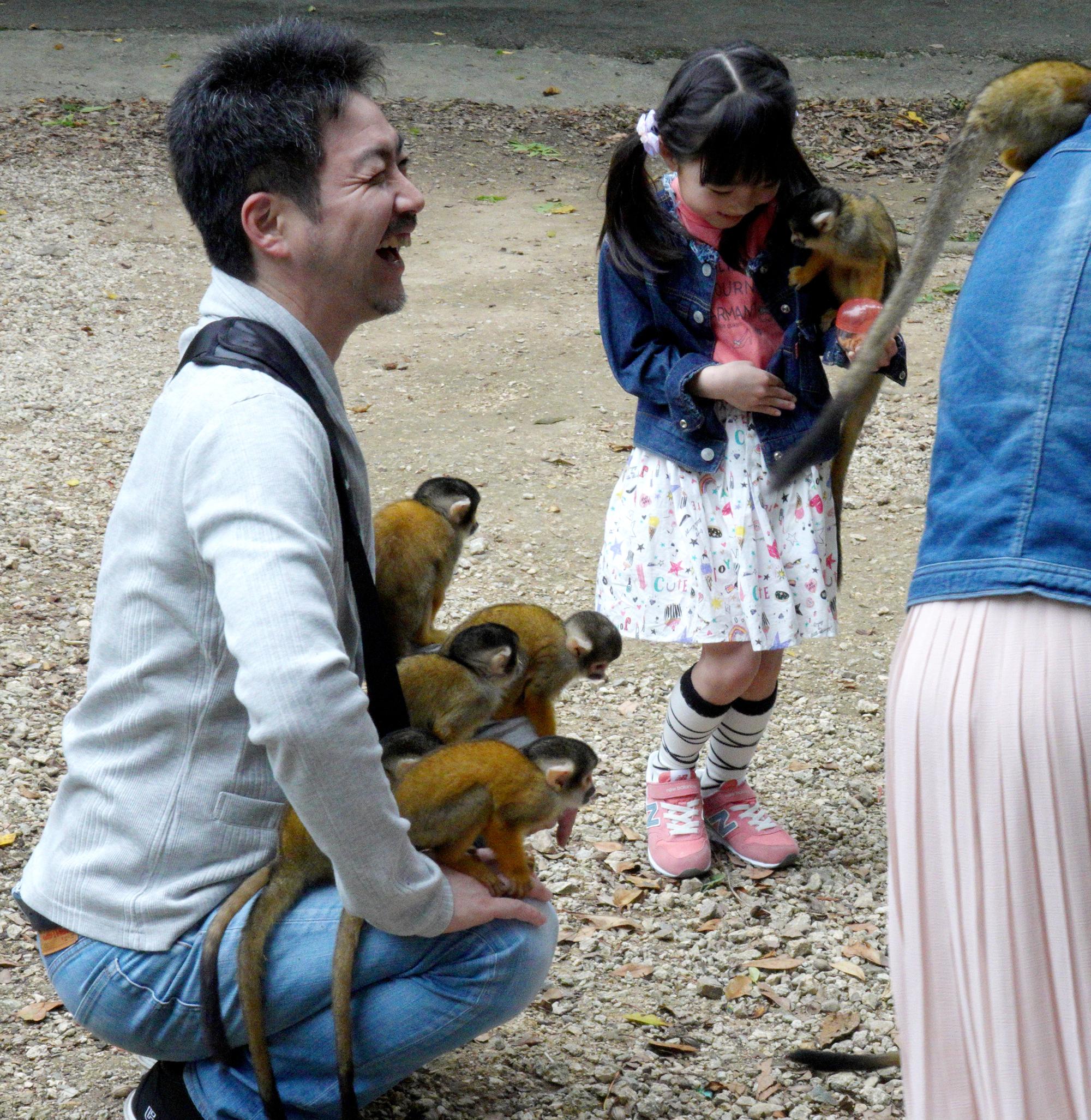 Japan (2019) - Bolivian Squirrel Monkeys #3