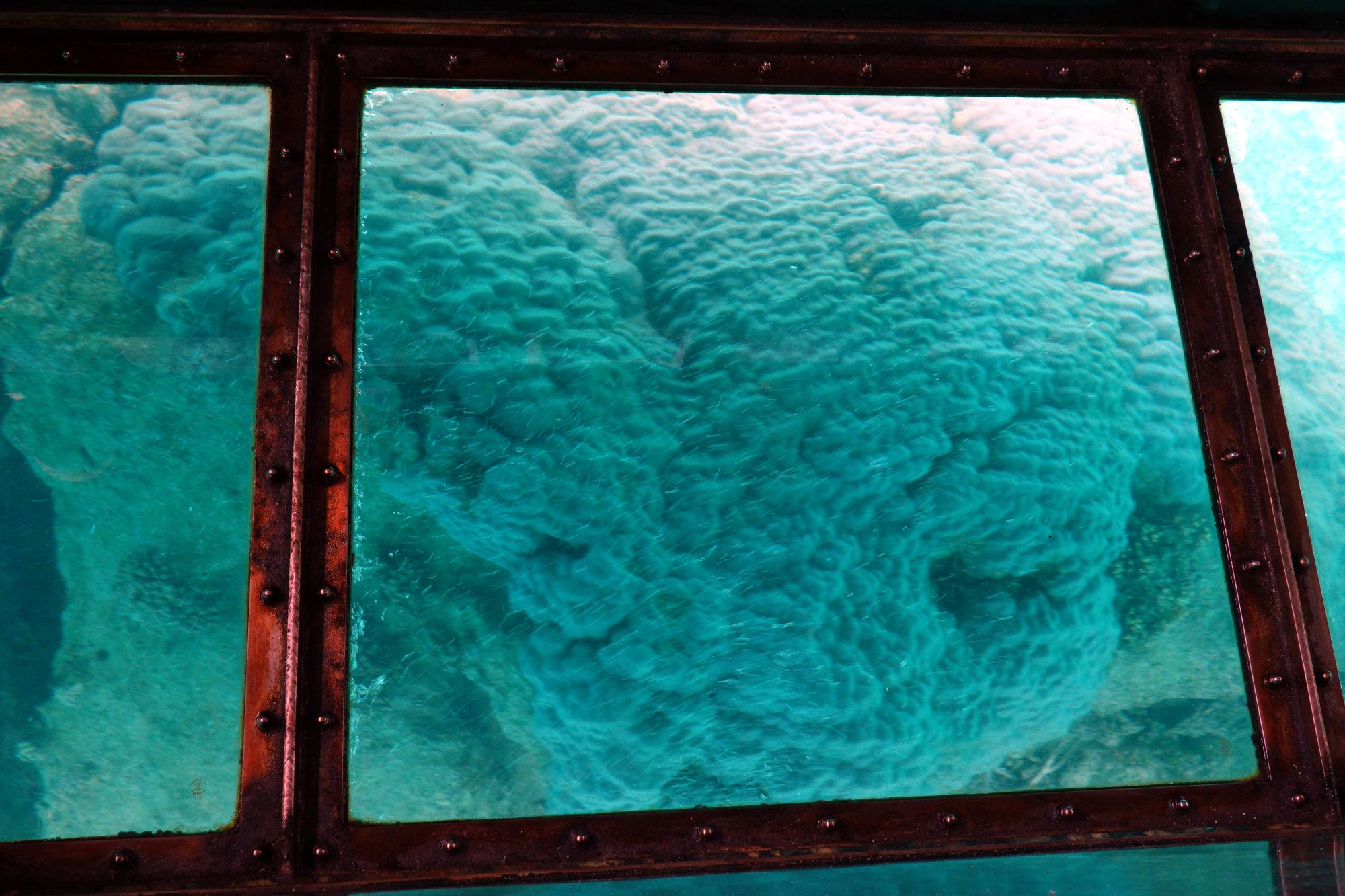 Japan (2019) - Glass Bottom Boat #6