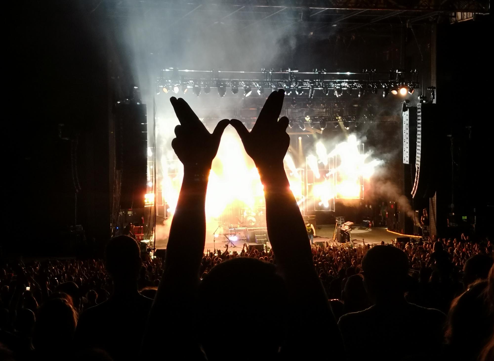 Live Shots - Weezer Hand Logo
