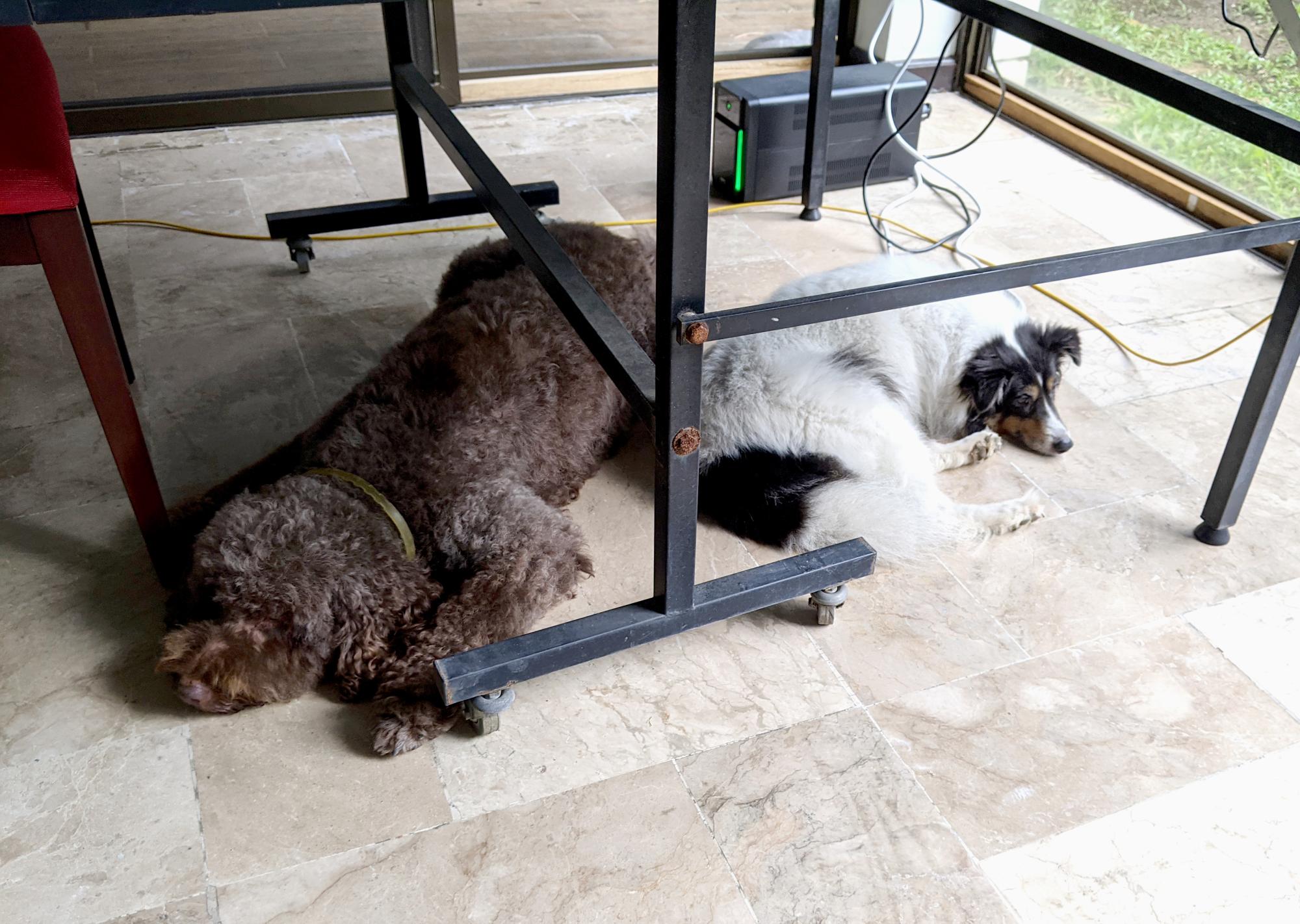 Pixie - Pixie Mellow