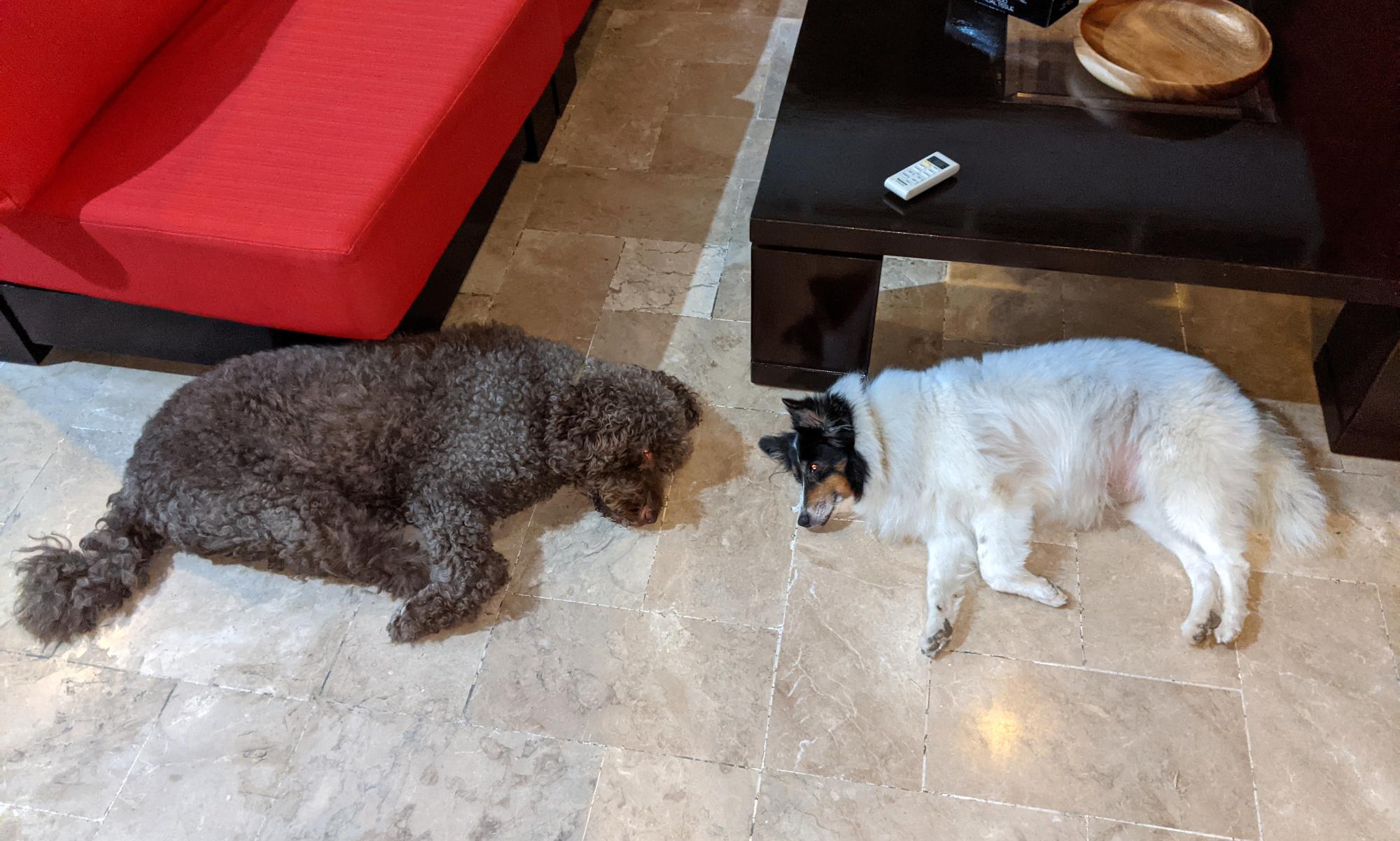 Pixie - Pixie Mellow