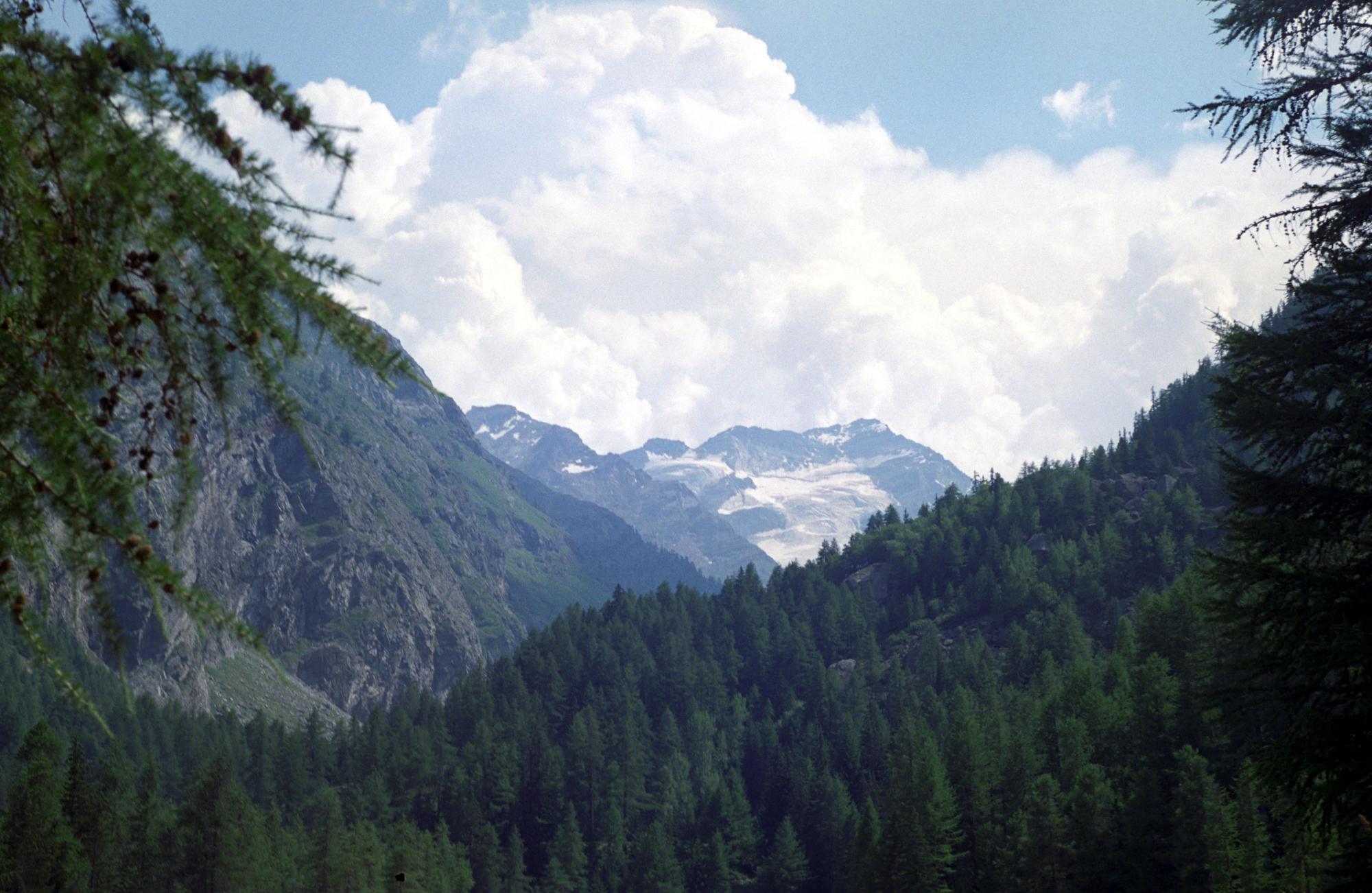 Alps (Ana) - Switzerland #14