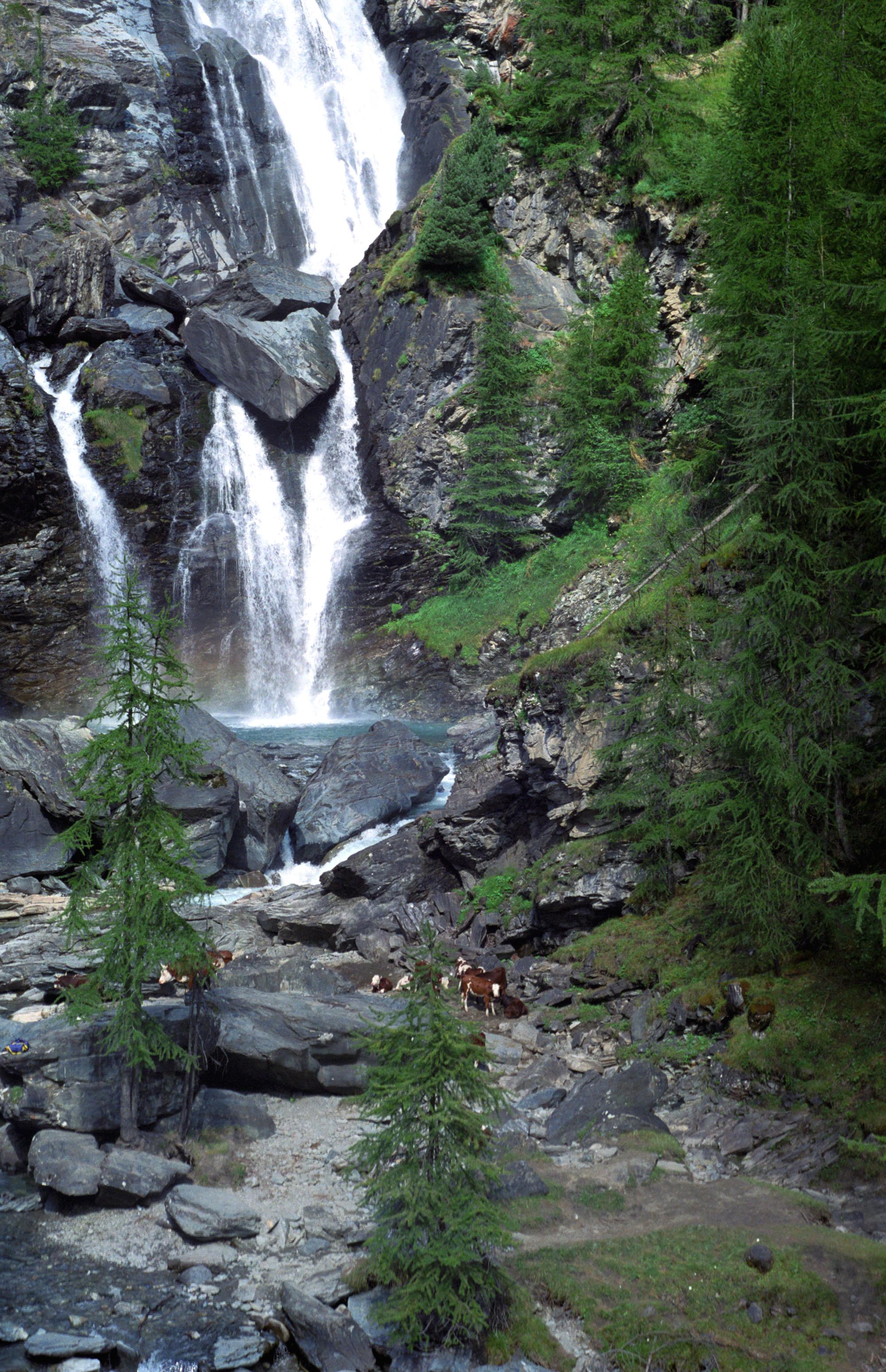 Alps (Ana) - Switzerland #16