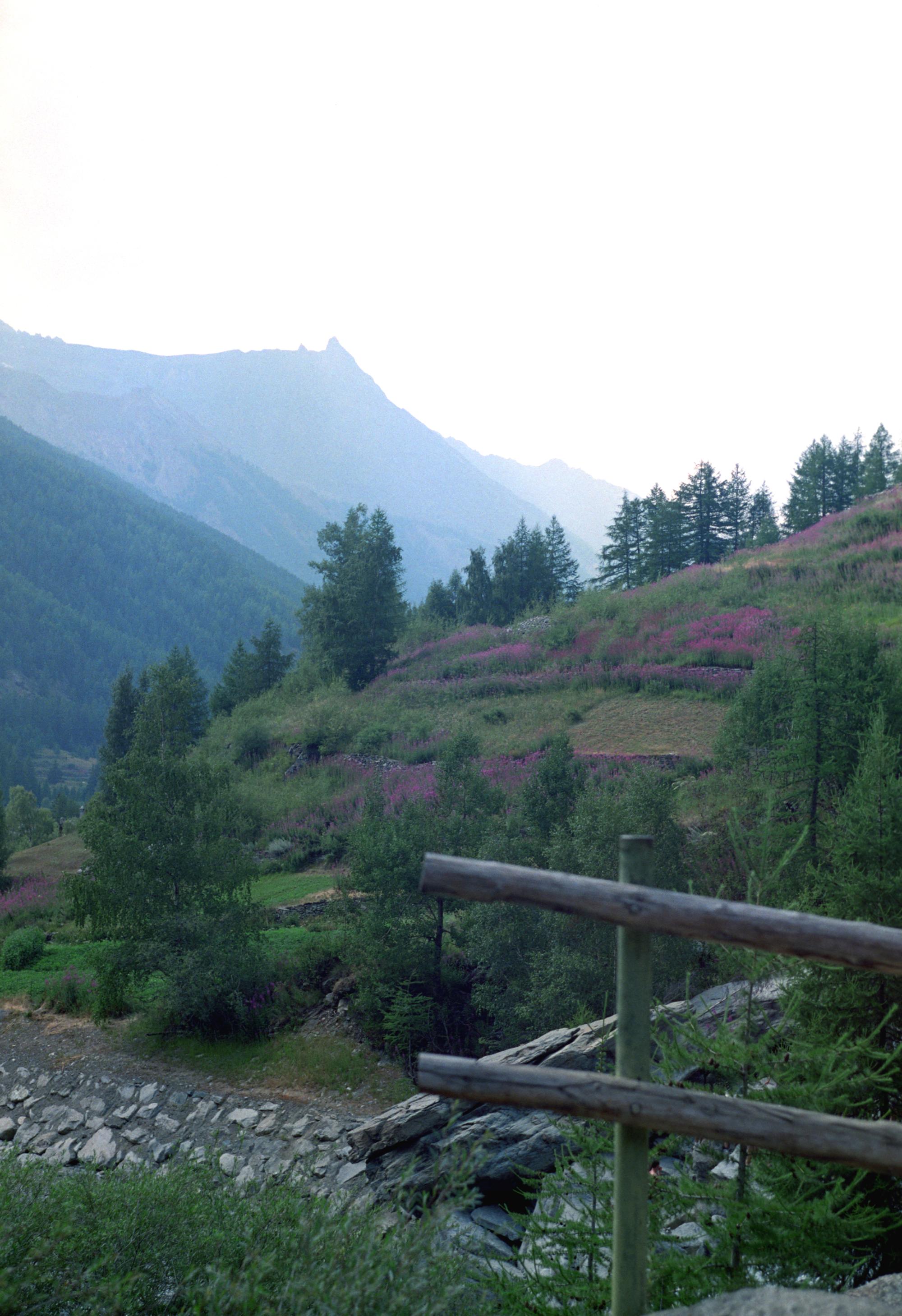 Alps (Ana) - Switzerland #25