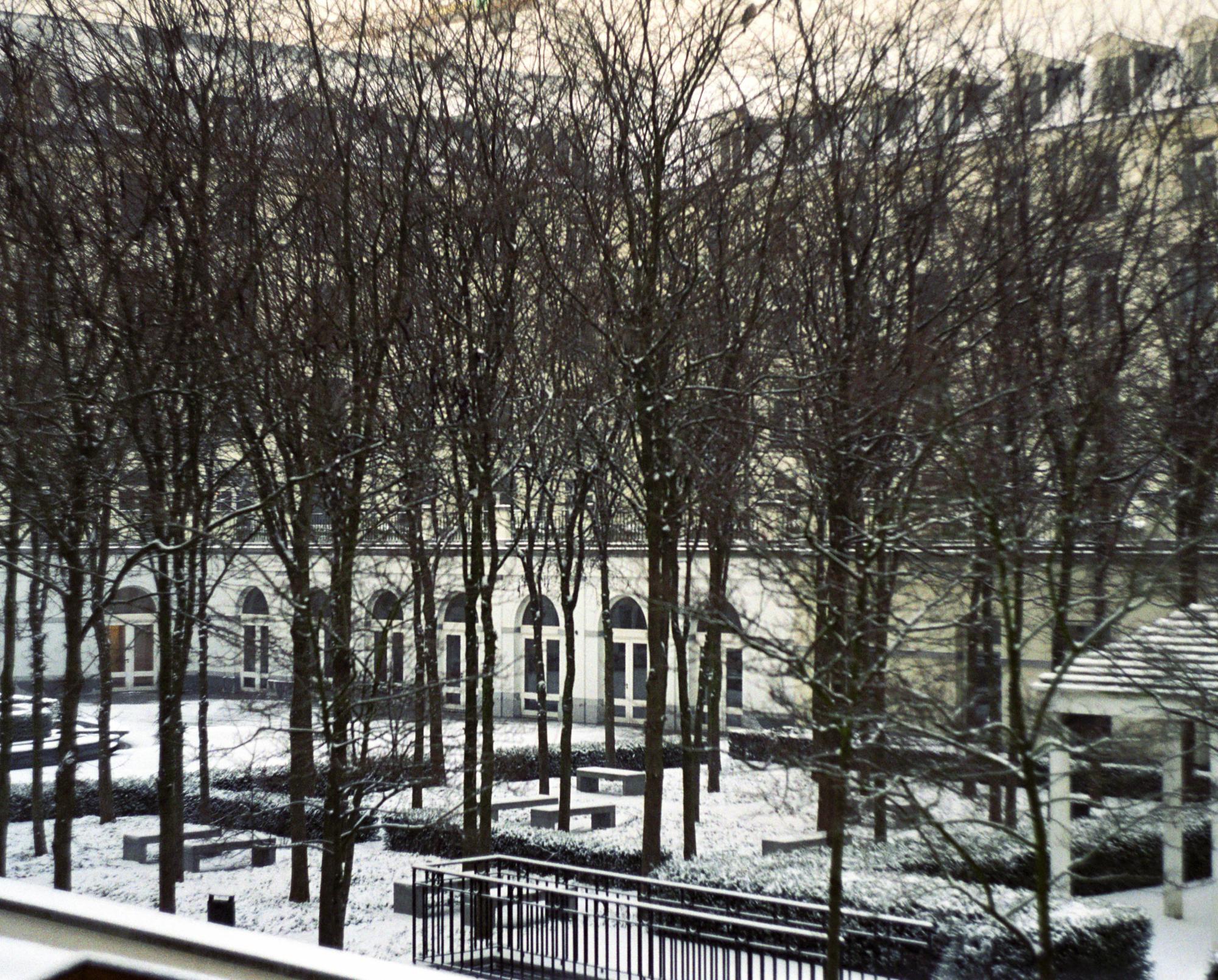 Benelux (Ana) - Brussels Apt