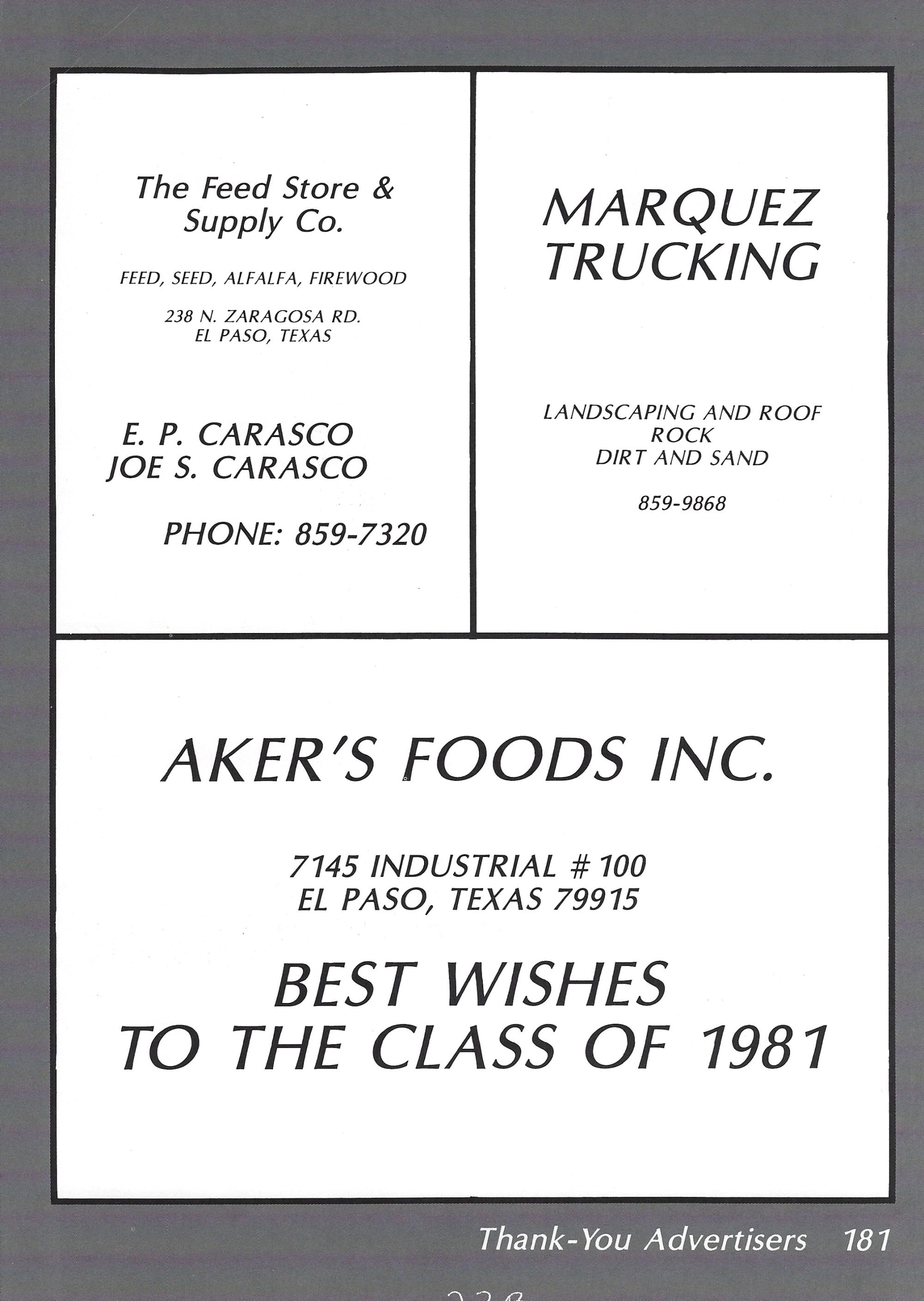 El Chato SHS Yearbook (1981) - El Chato #181