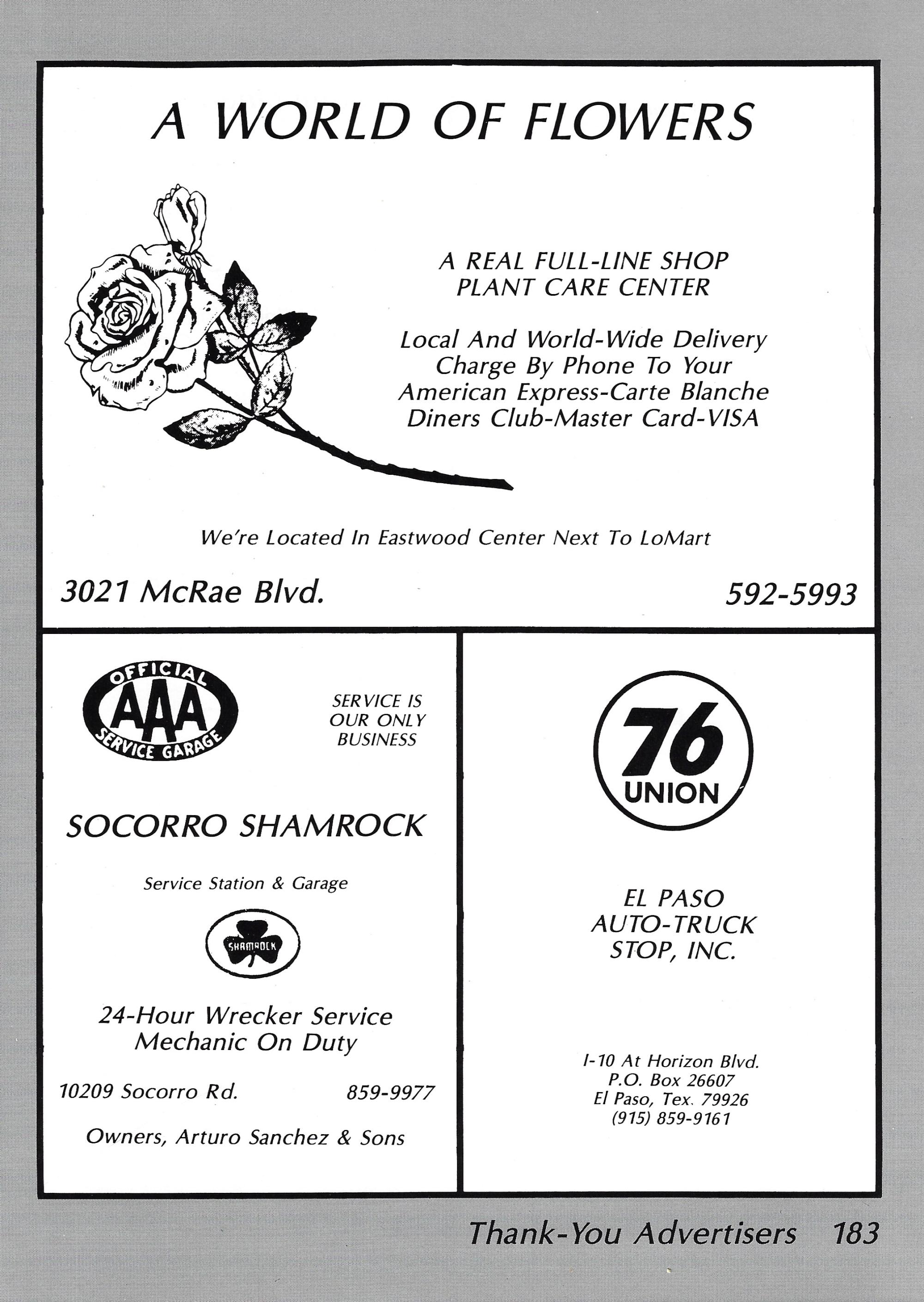 El Chato SHS Yearbook (1981) - El Chato #183