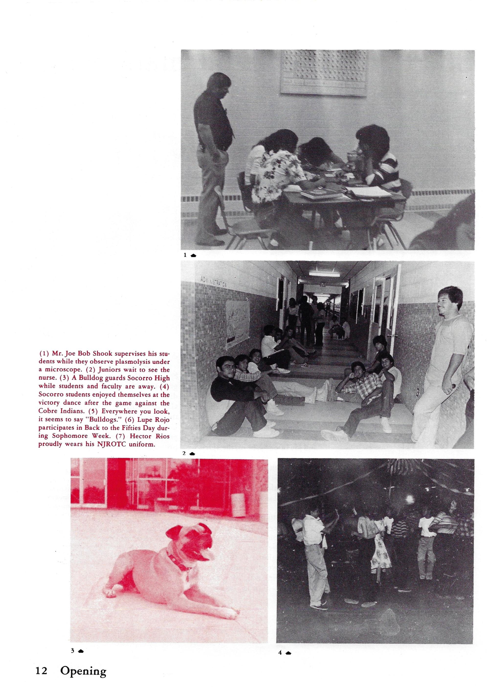 El Chato SHS Yearbook (1982) - El Chato #012