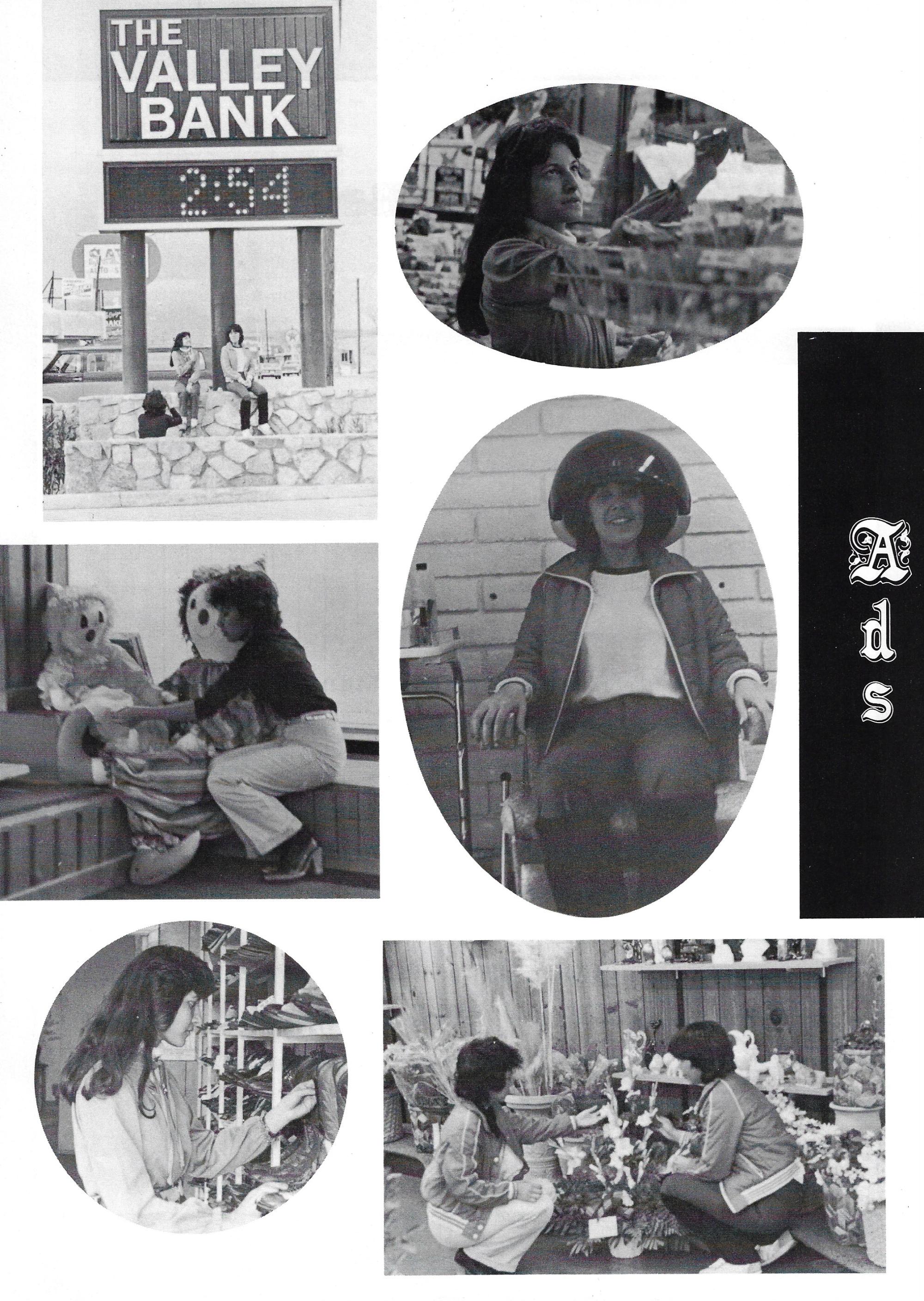 El Chato SHS Yearbook (1982) - El Chato #185