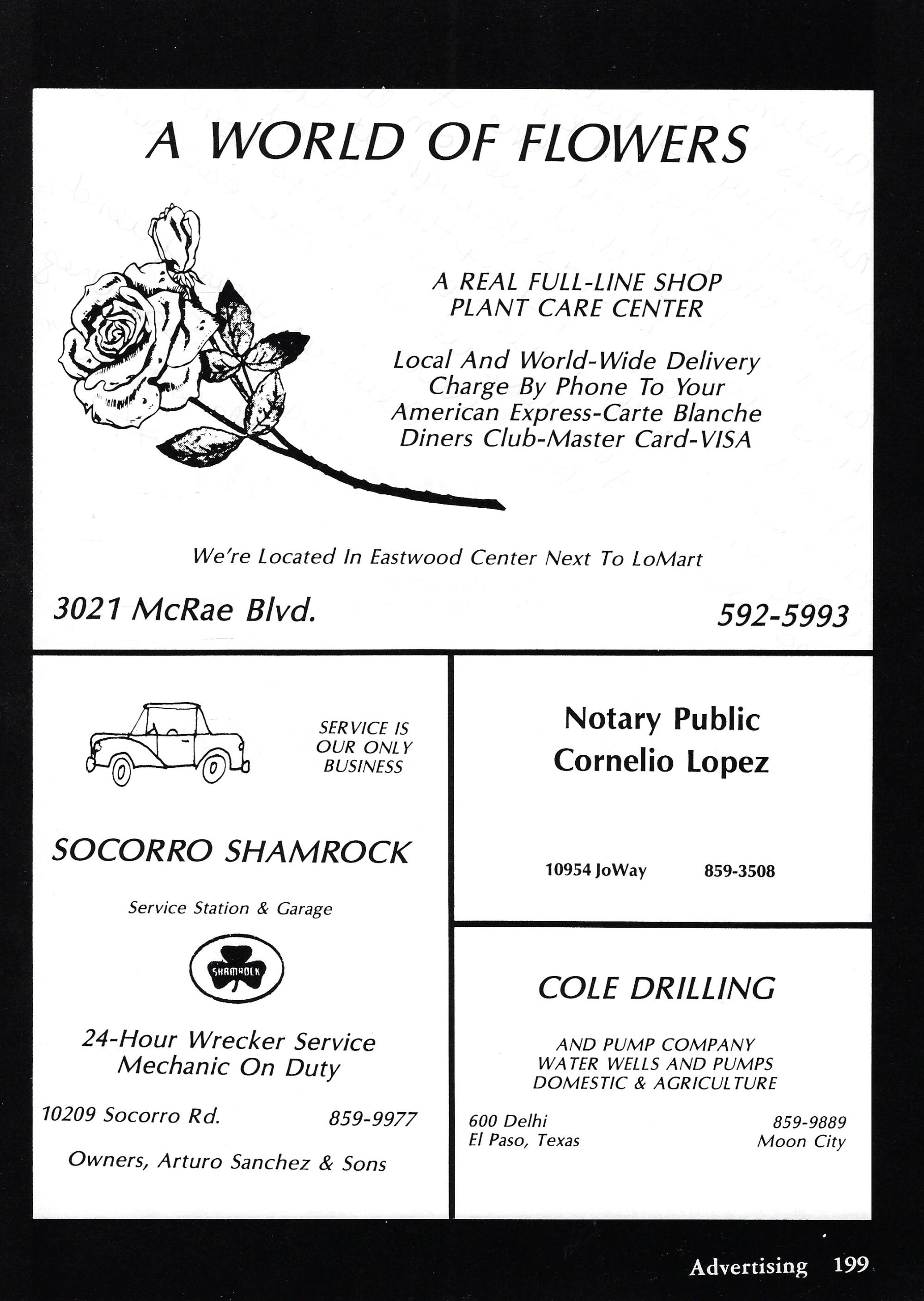 El Chato SHS Yearbook (1982) - El Chato #199