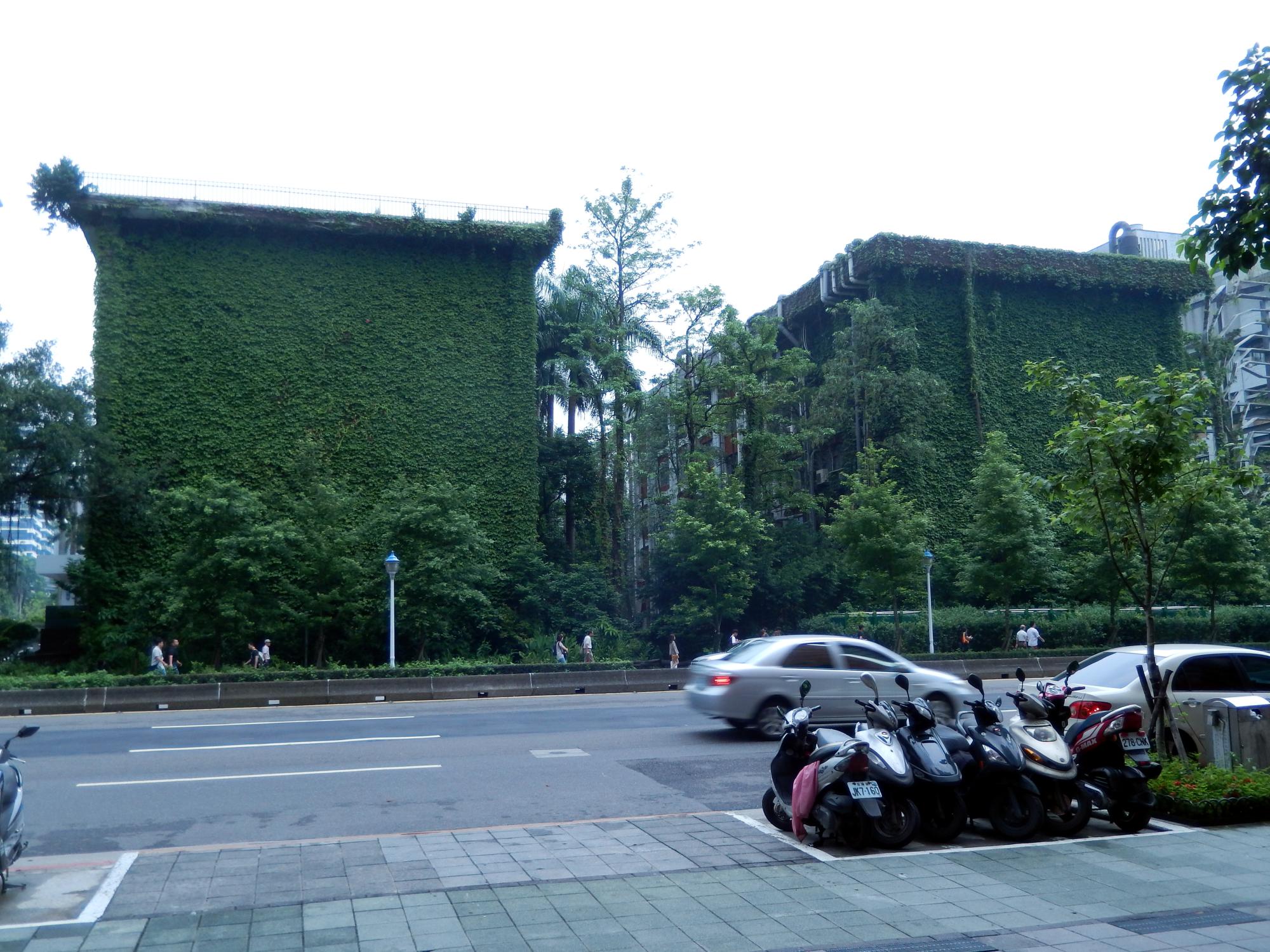 Taiwan - Vine Covered Building