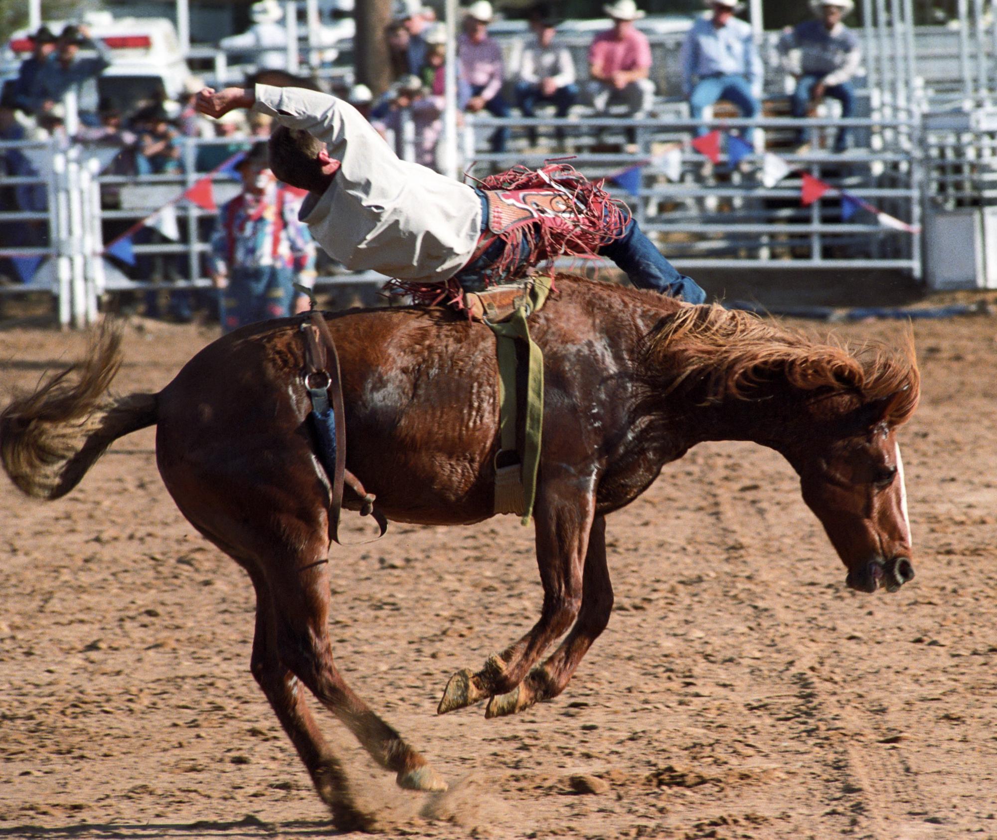 Imperial Valley Rodeo (1992) - Saddle Bronc #07