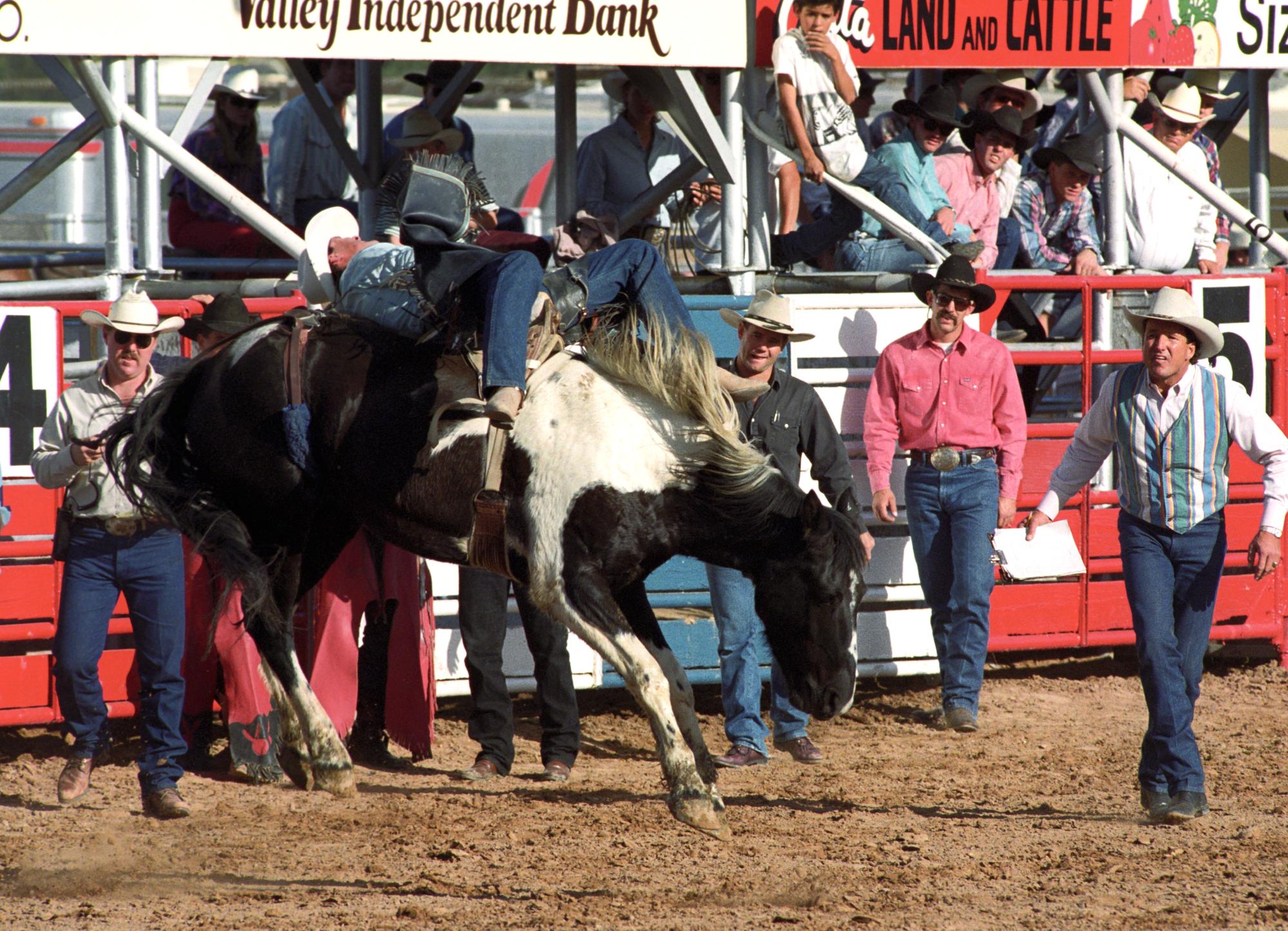 Imperial Valley Rodeo (1992) - Saddle Bronc #08