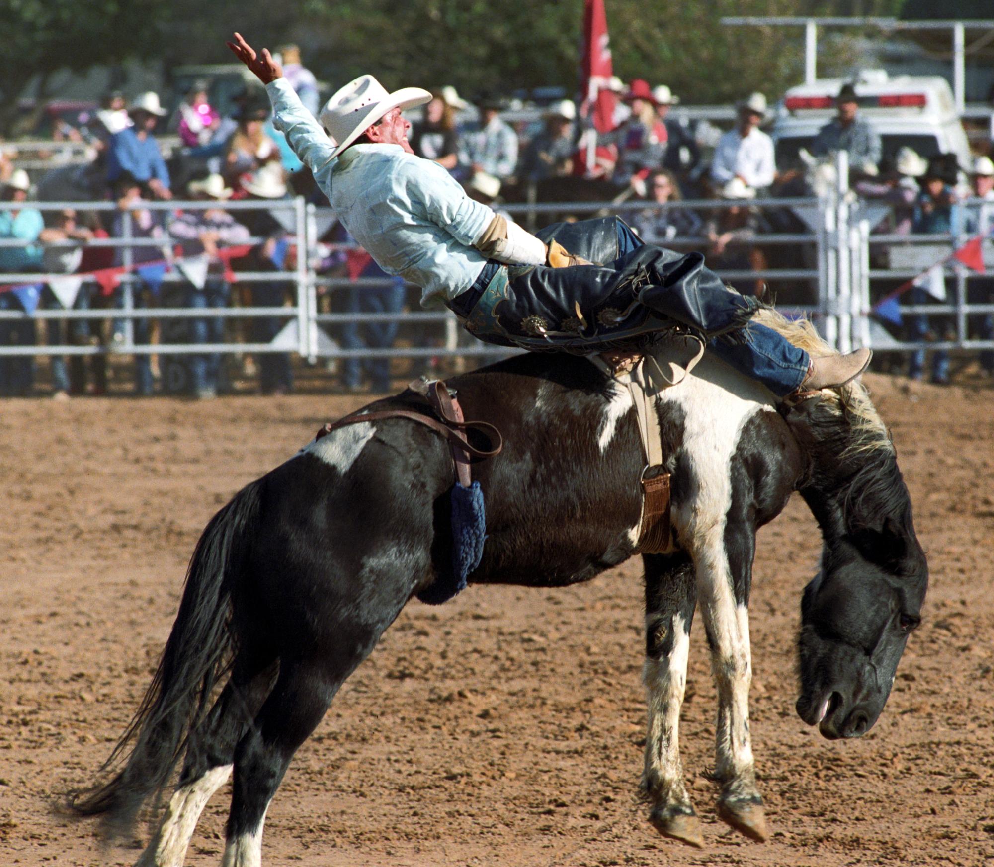 Imperial Valley Rodeo (1992) - Saddle Bronc #10