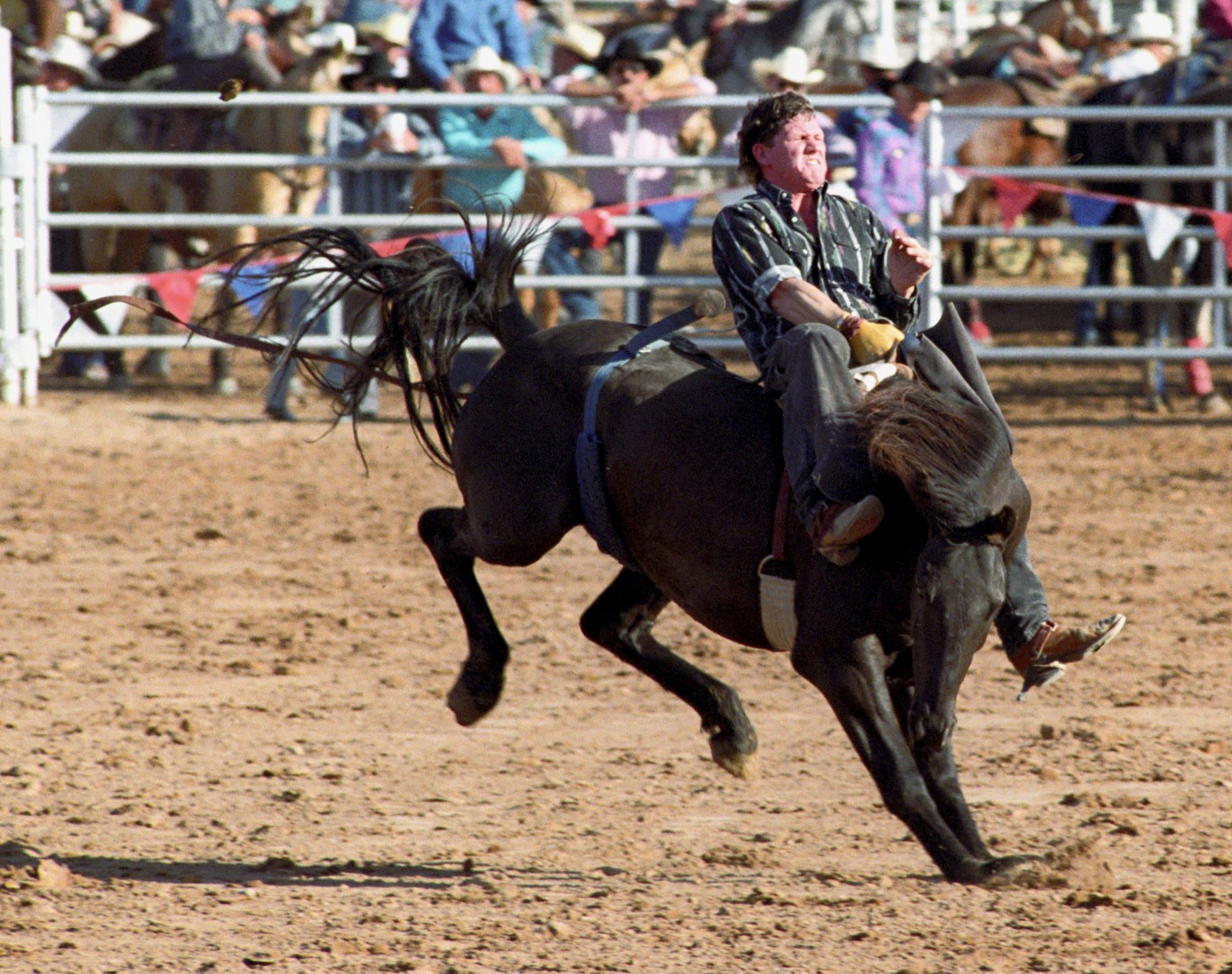 Imperial Valley Rodeo (1992) - Saddle Bronc #14