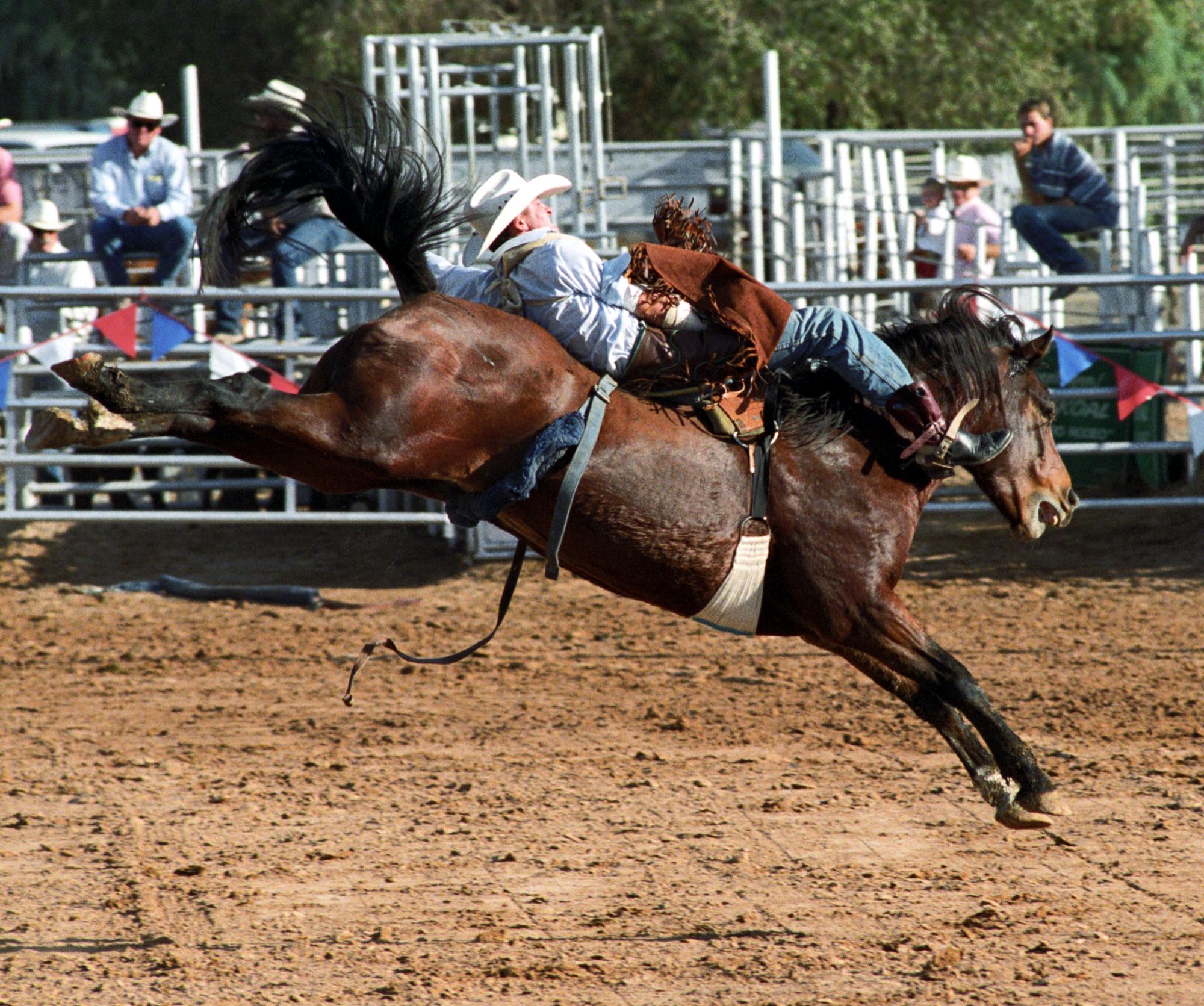 Imperial Valley Rodeo (1992) - Saddle Bronc #15