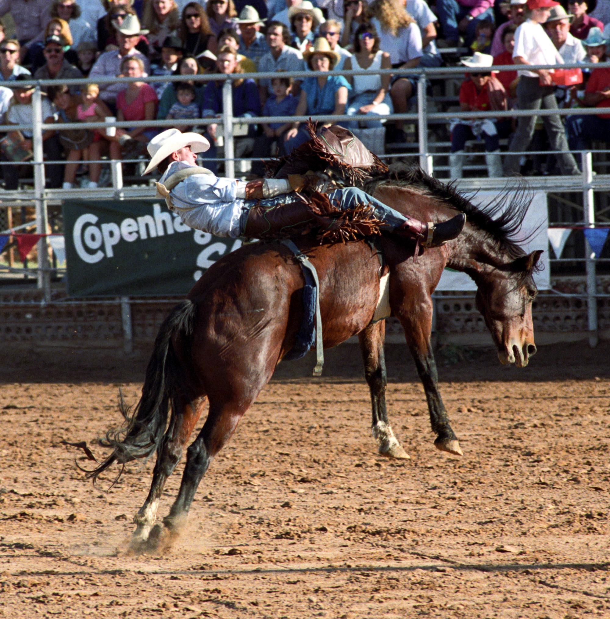Imperial Valley Rodeo (1992) - Saddle Bronc #16