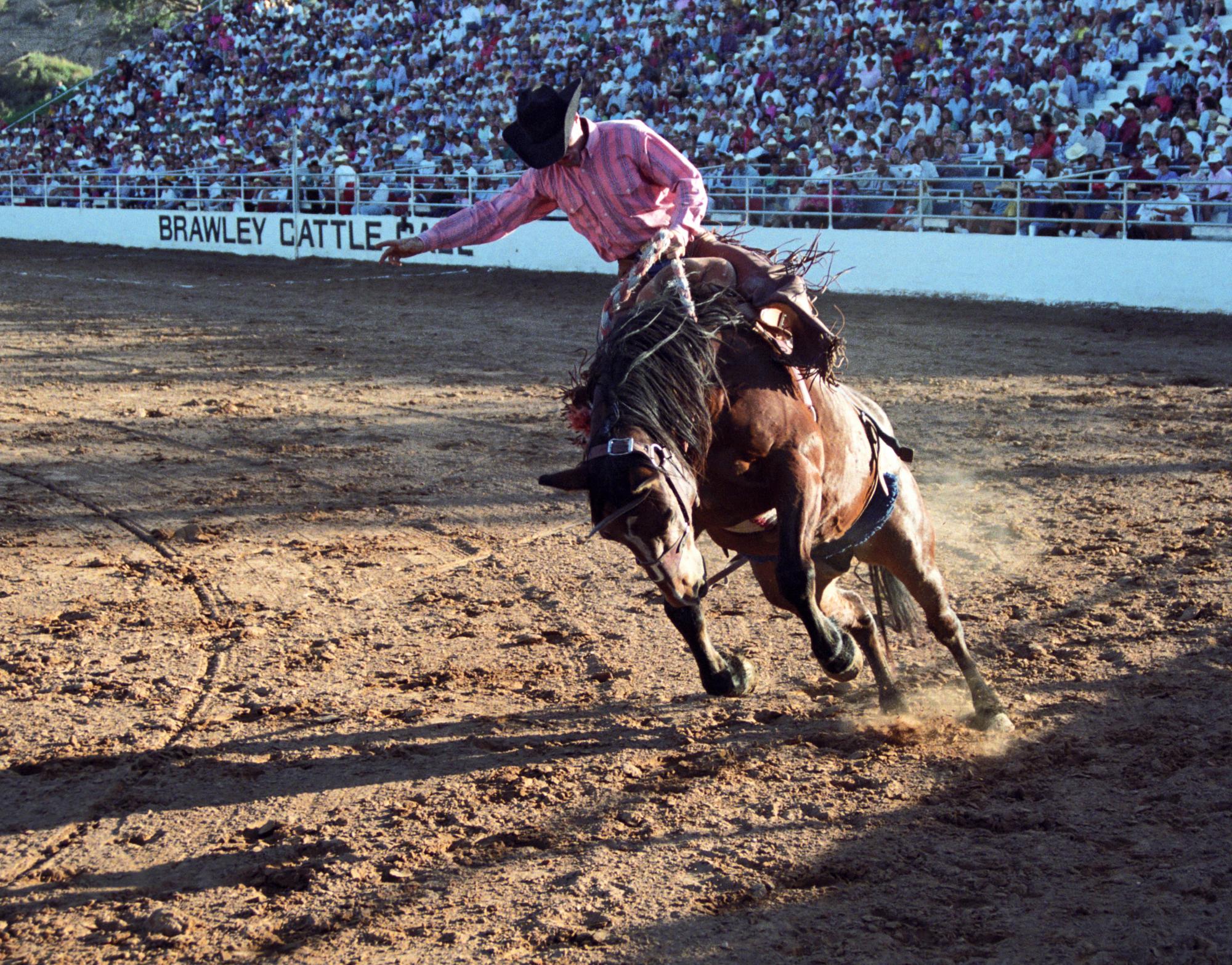 Imperial Valley Rodeo (1992) - Saddle Bronc #19