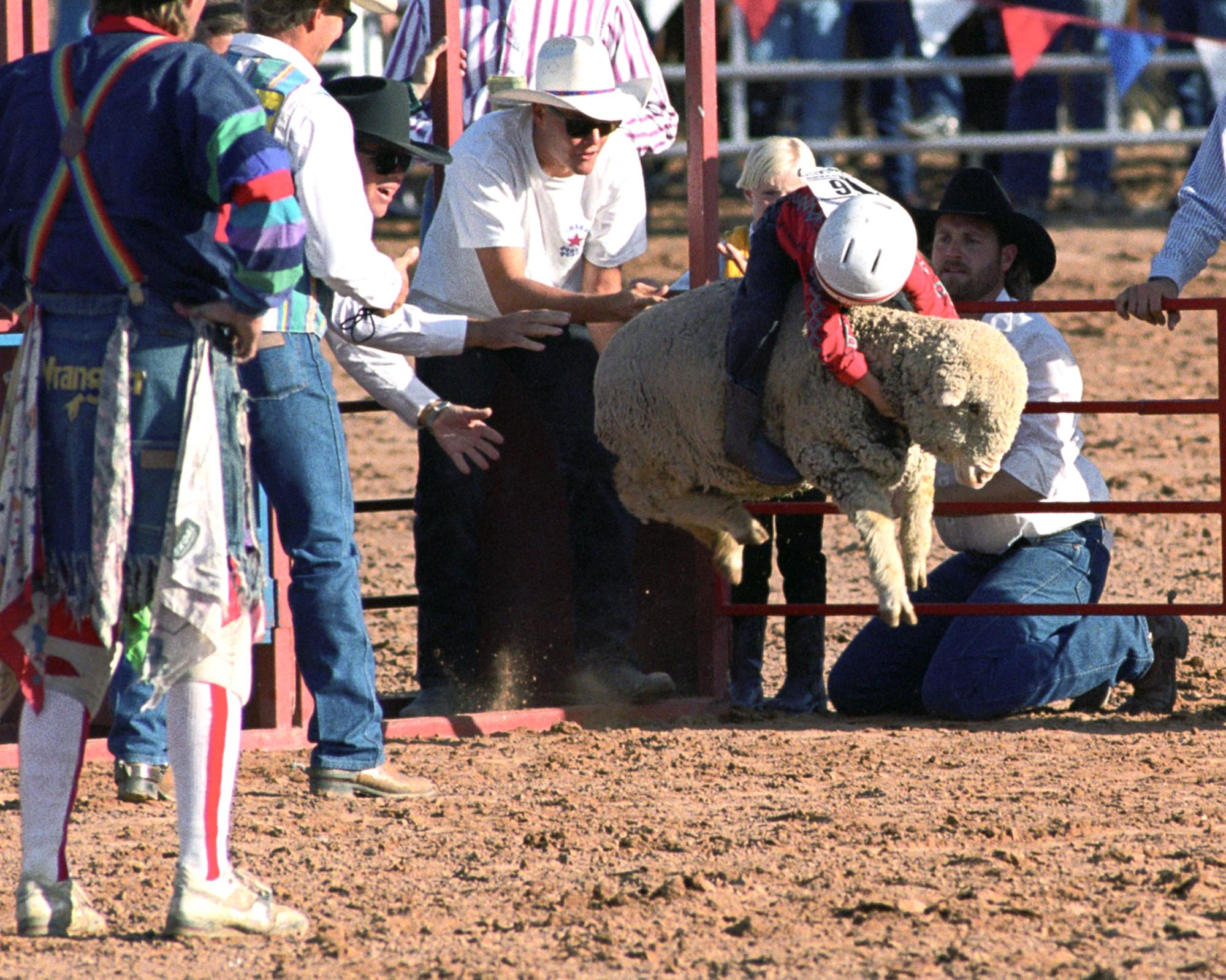 Imperial Valley Rodeo (1992) - Sheep Riding #3