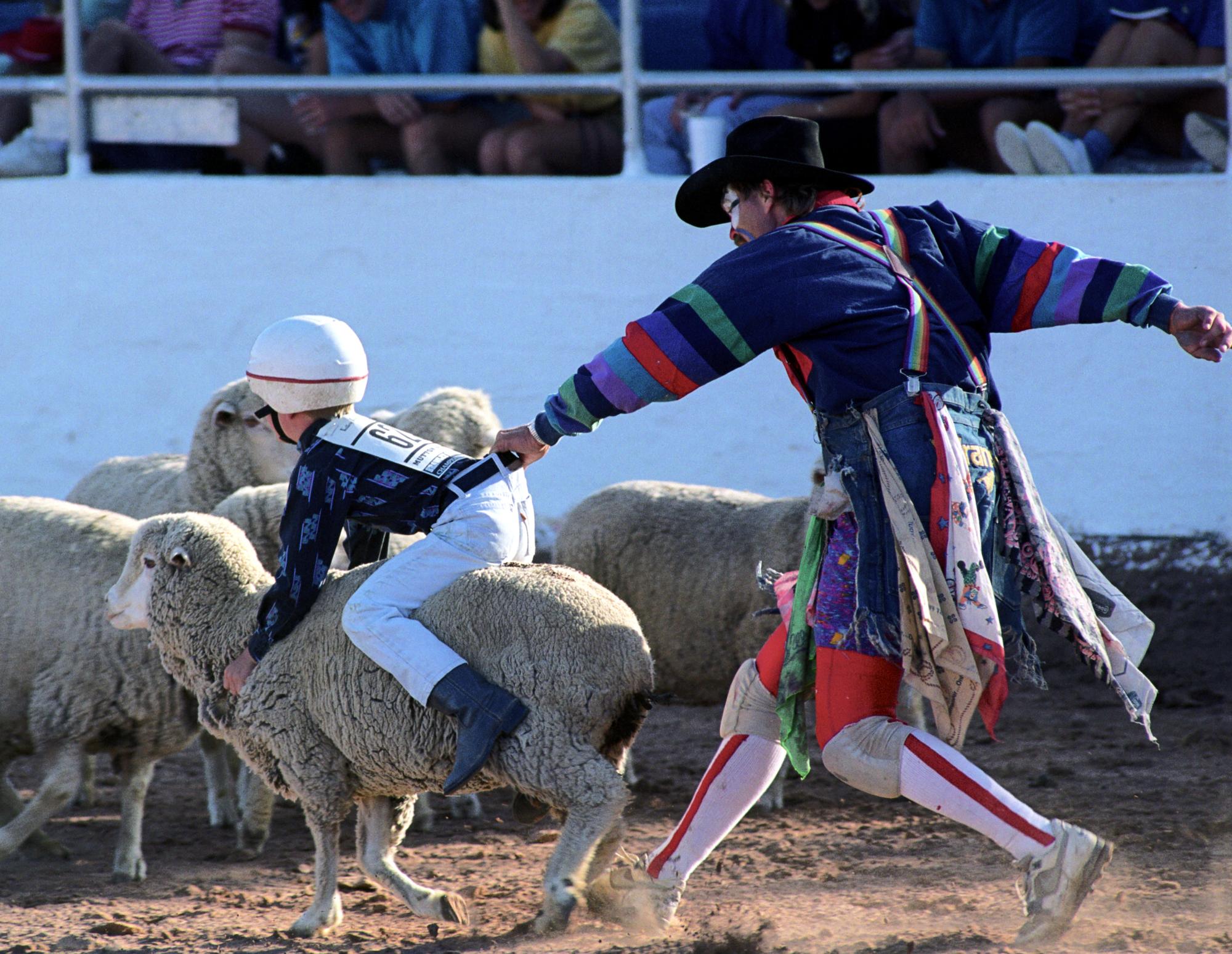Imperial Valley Rodeo (1992) - Sheep Riding #5