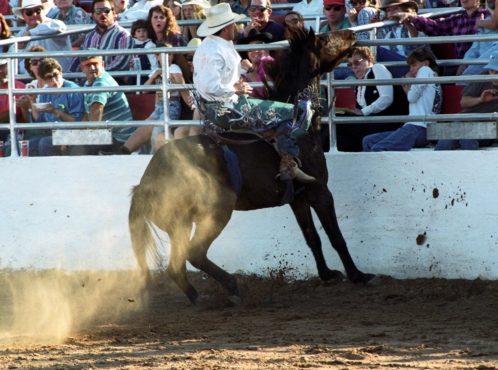 Imperial Valley Rodeo (1992) - Tough Hombre #1