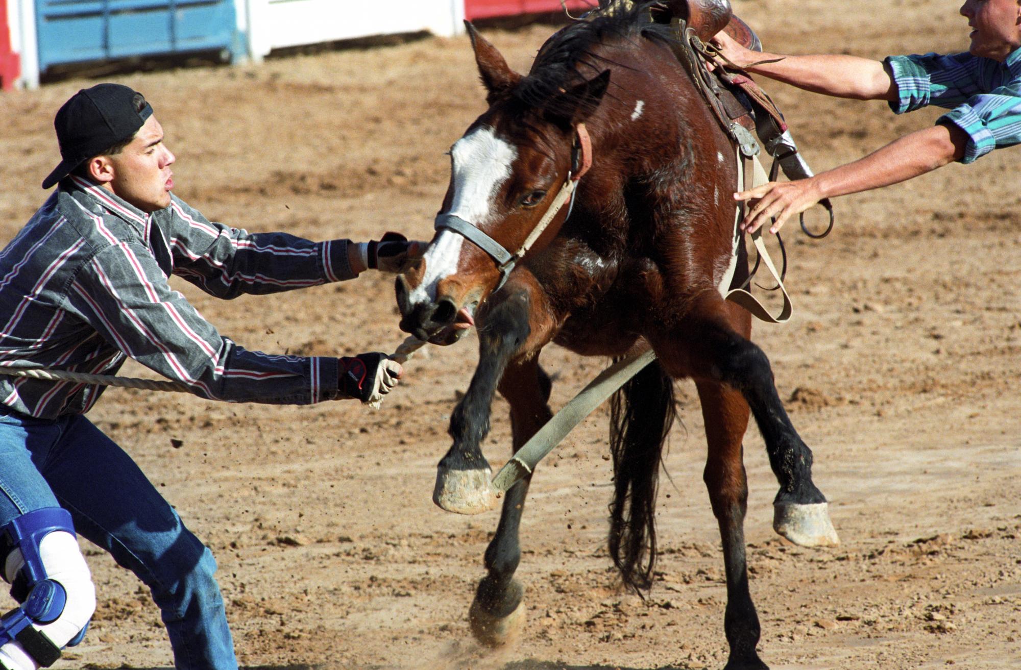 Imperial Valley Rodeo (1992) - Wild Horses #1