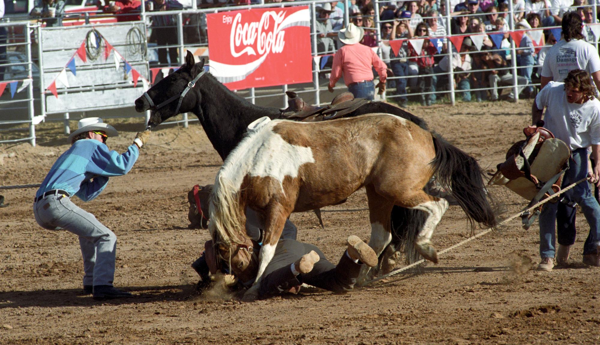 Imperial Valley Rodeo (1992) - Wild Horses #3