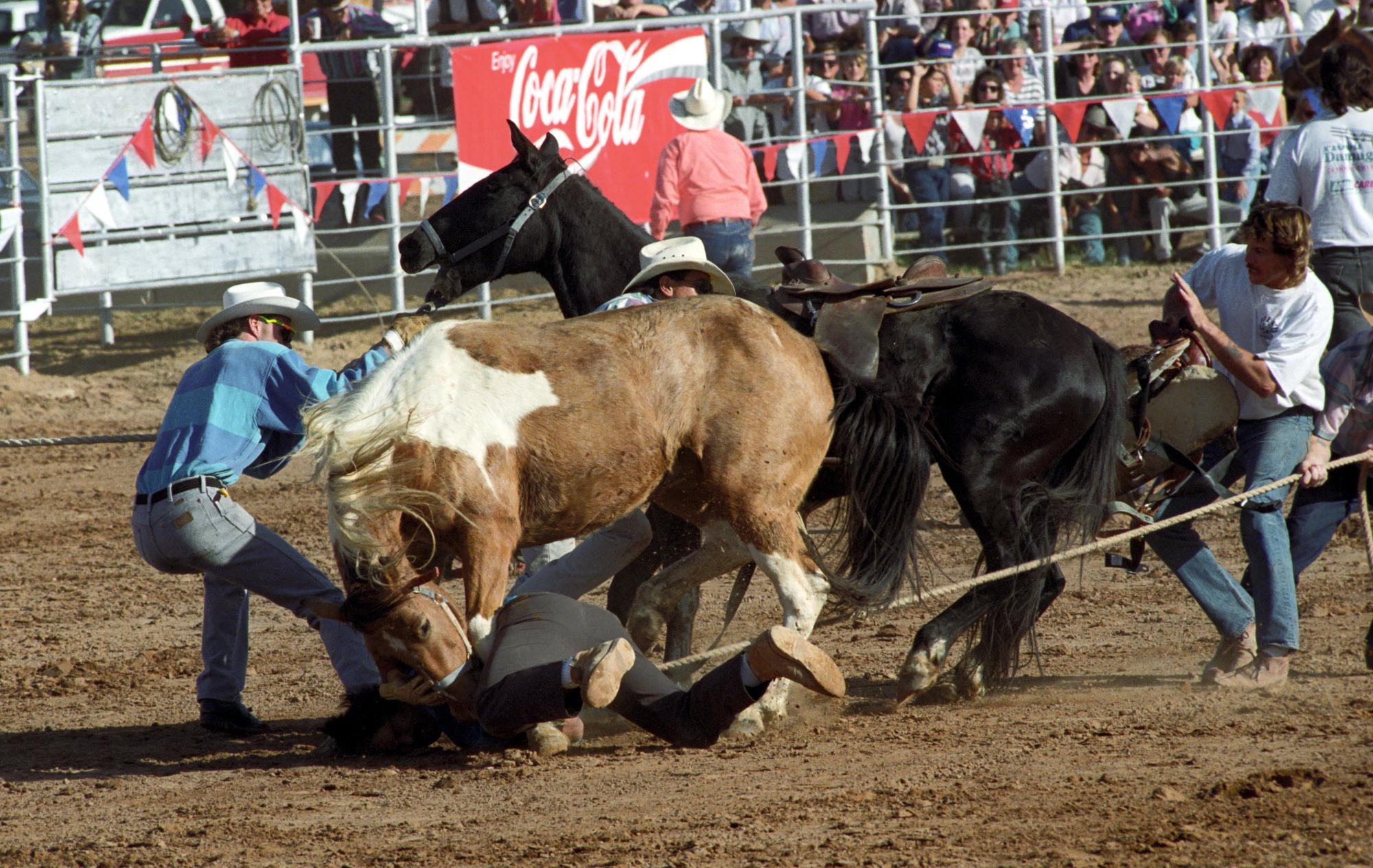 Imperial Valley Rodeo (1992) - Wild Horses #4