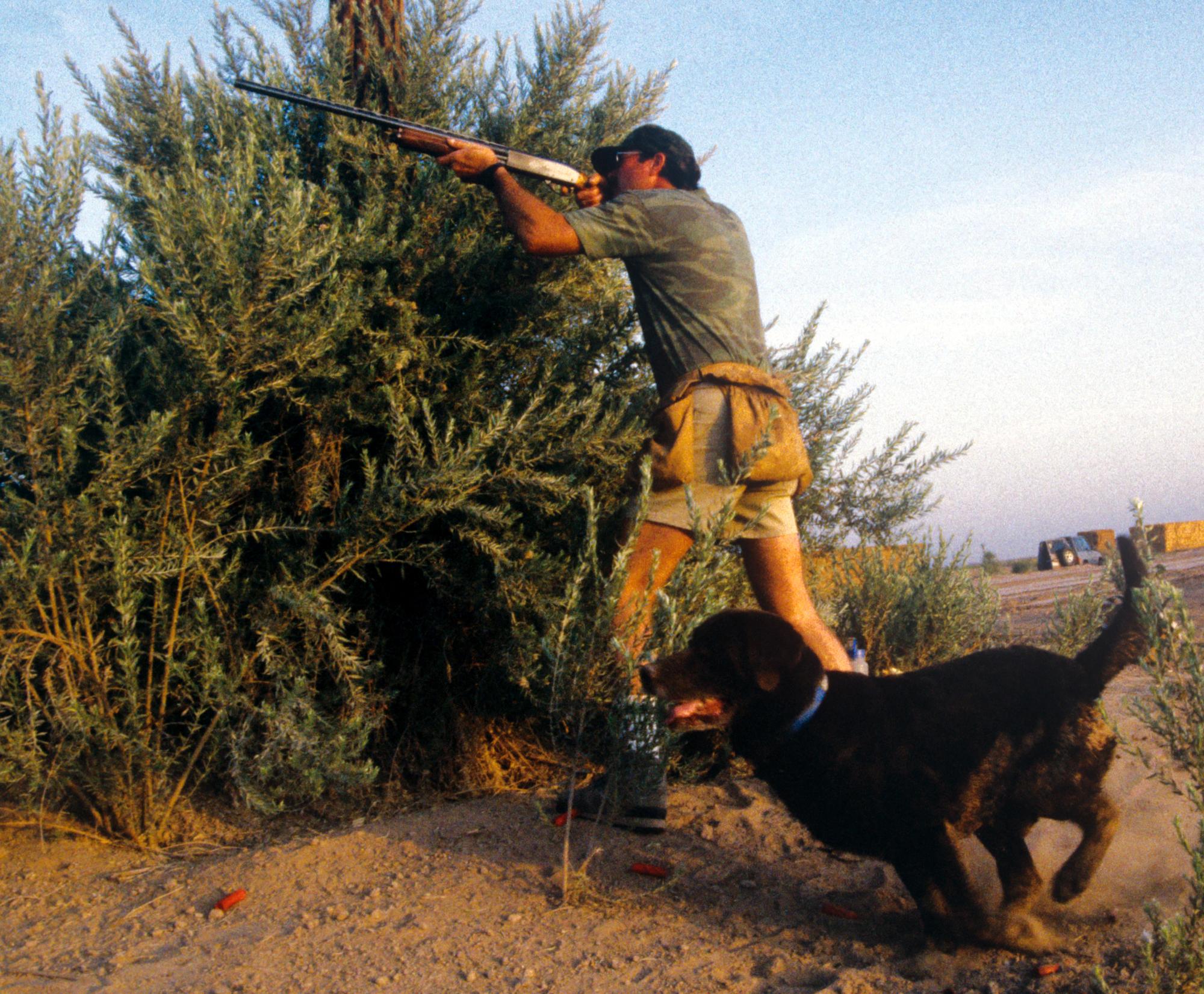 Imperial Valley Press (1992) - Dove Hunting #2