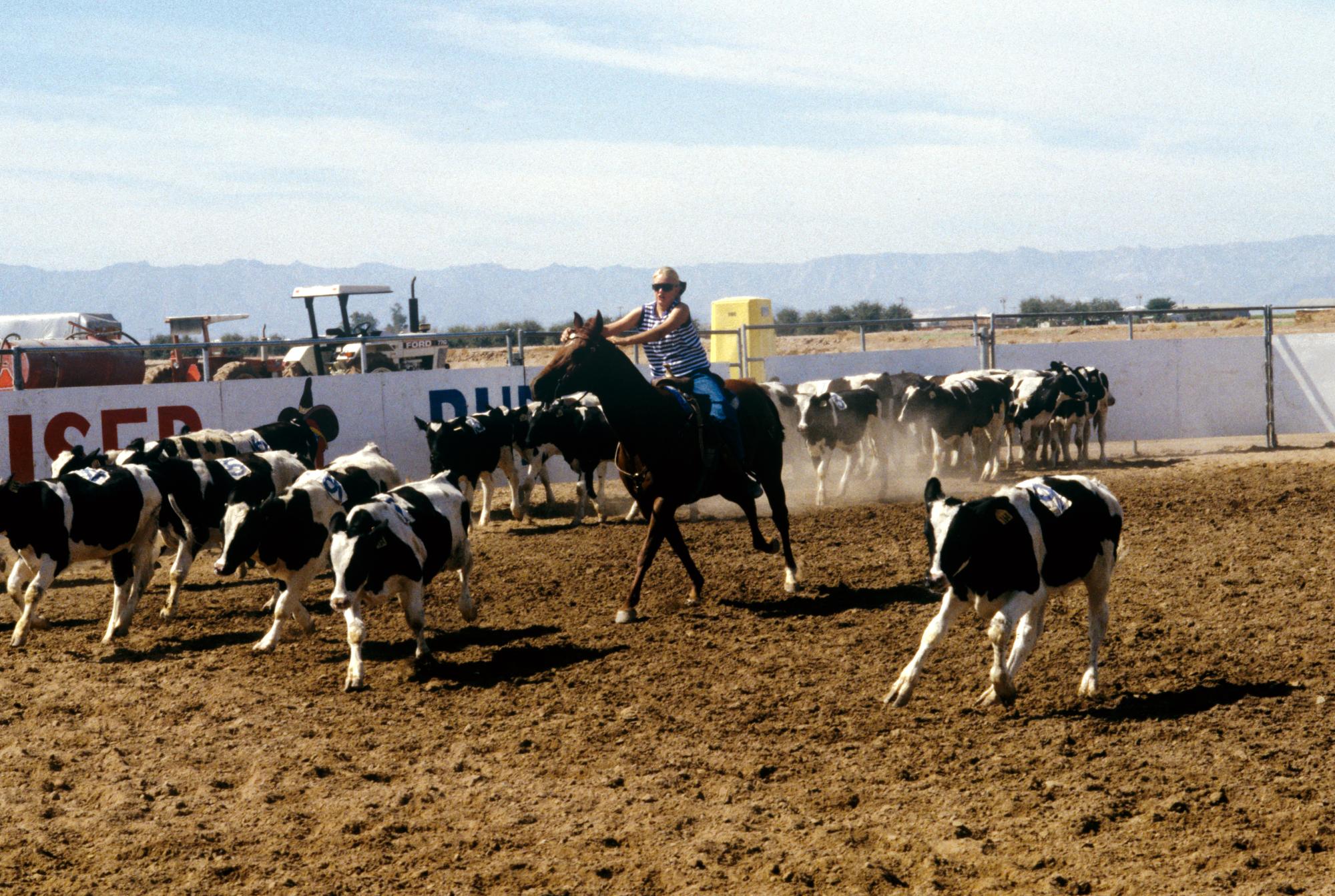 Imperial Valley Press (1992) - Cattle Chase #08