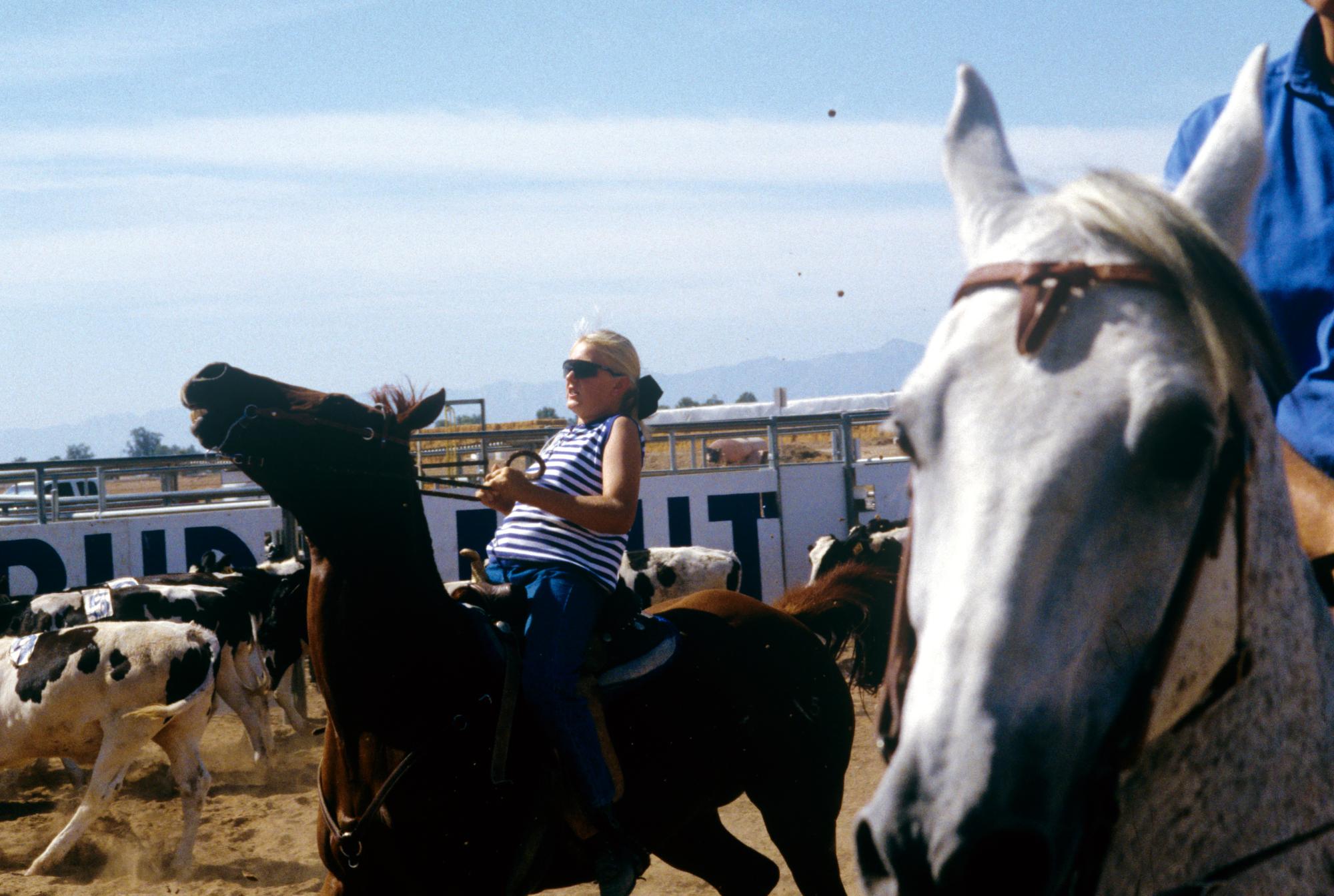 Imperial Valley Press (1992) - Cattle Chase #10