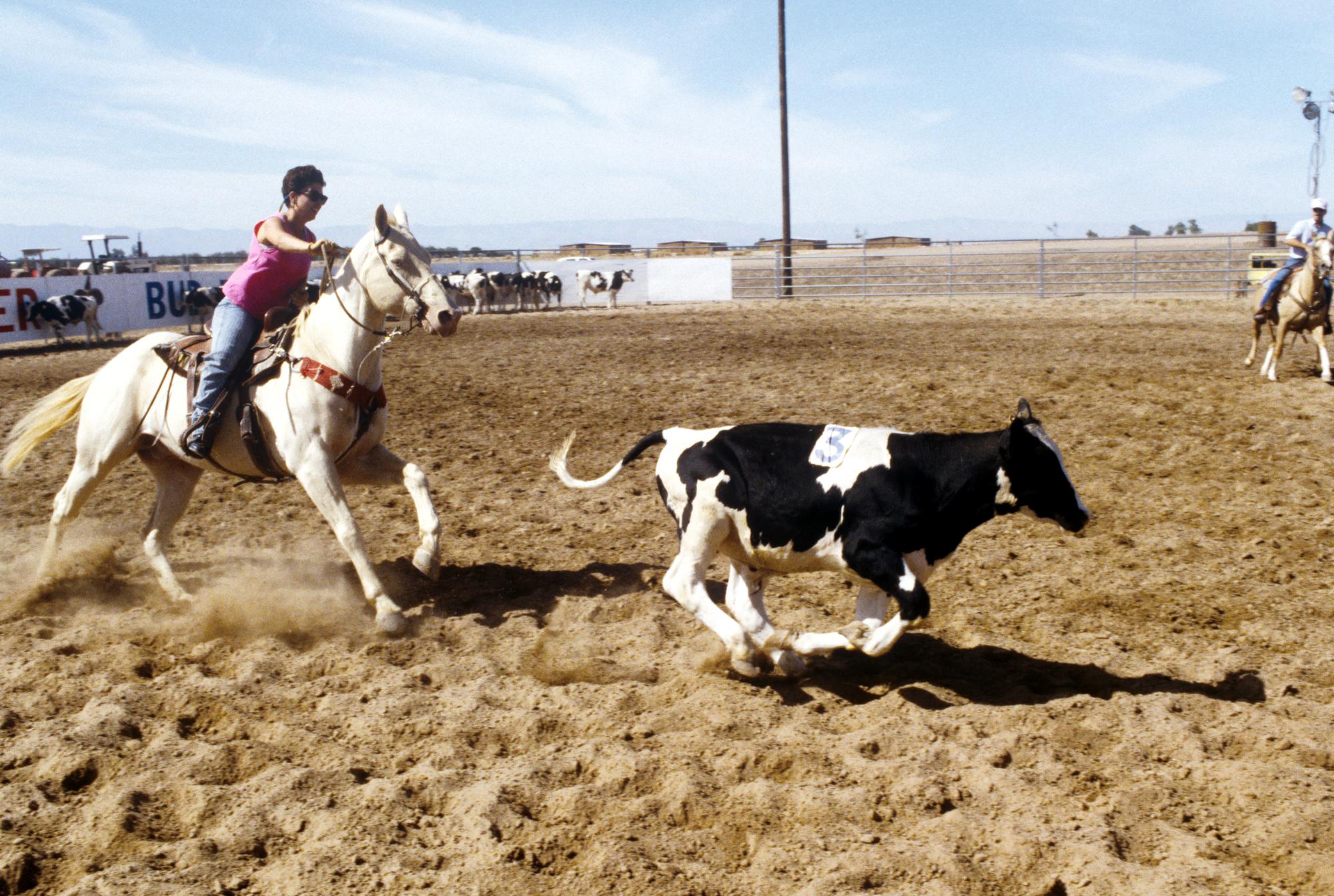 Imperial Valley Press (1992) - Cattle Chase #12