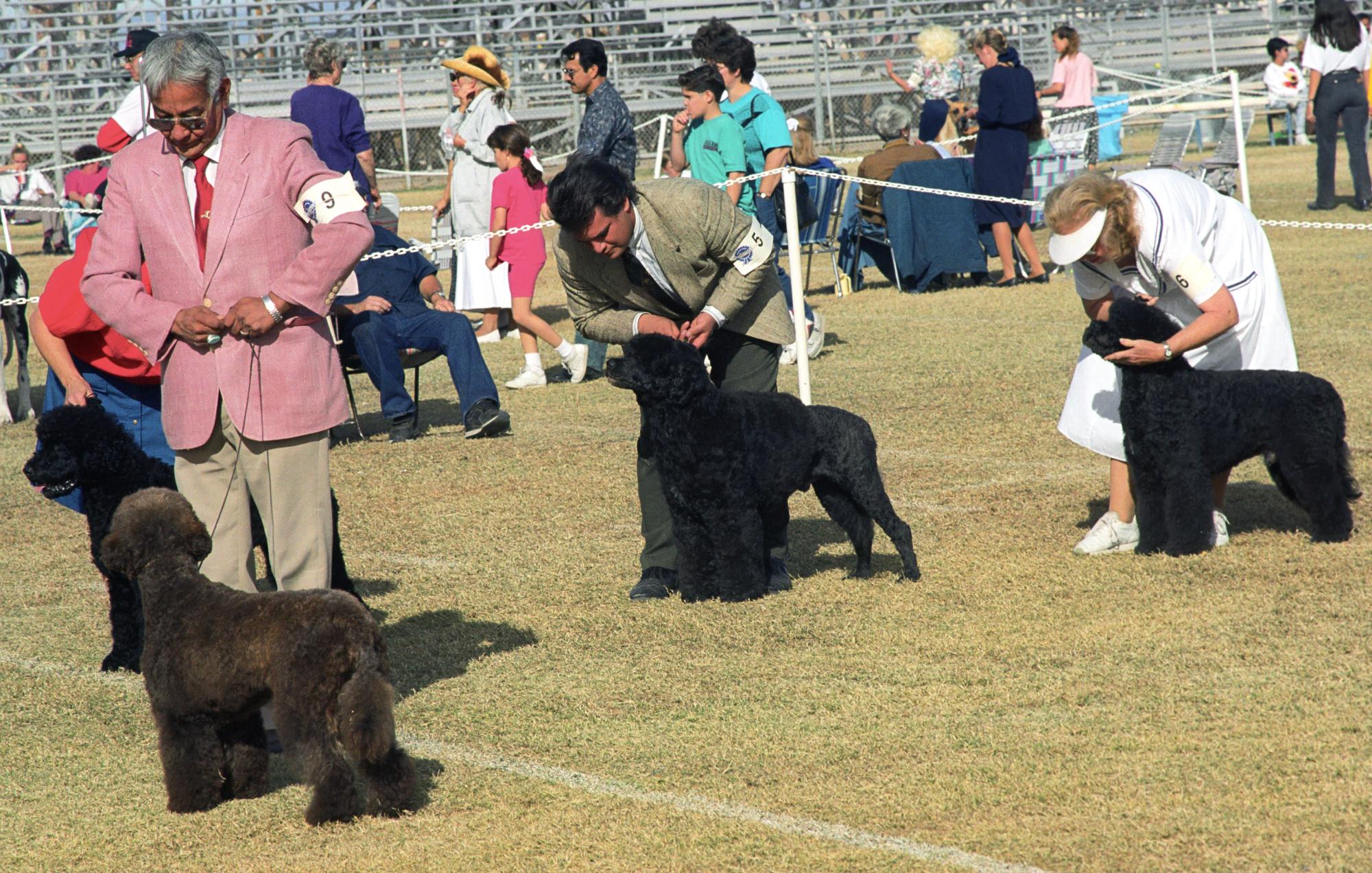 Imperial Valley Press (1992) - Dog Show