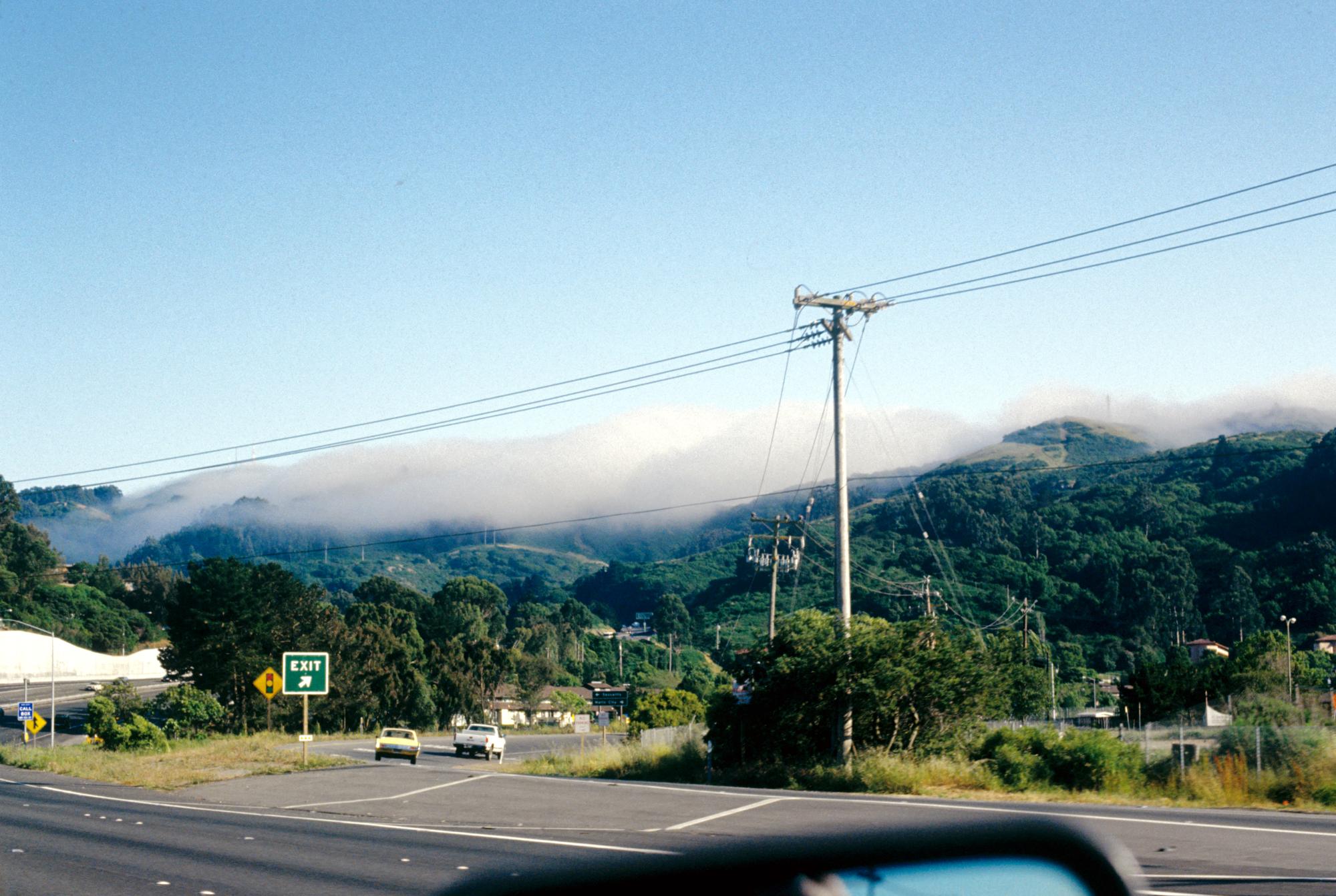 California - Marin Fog #1