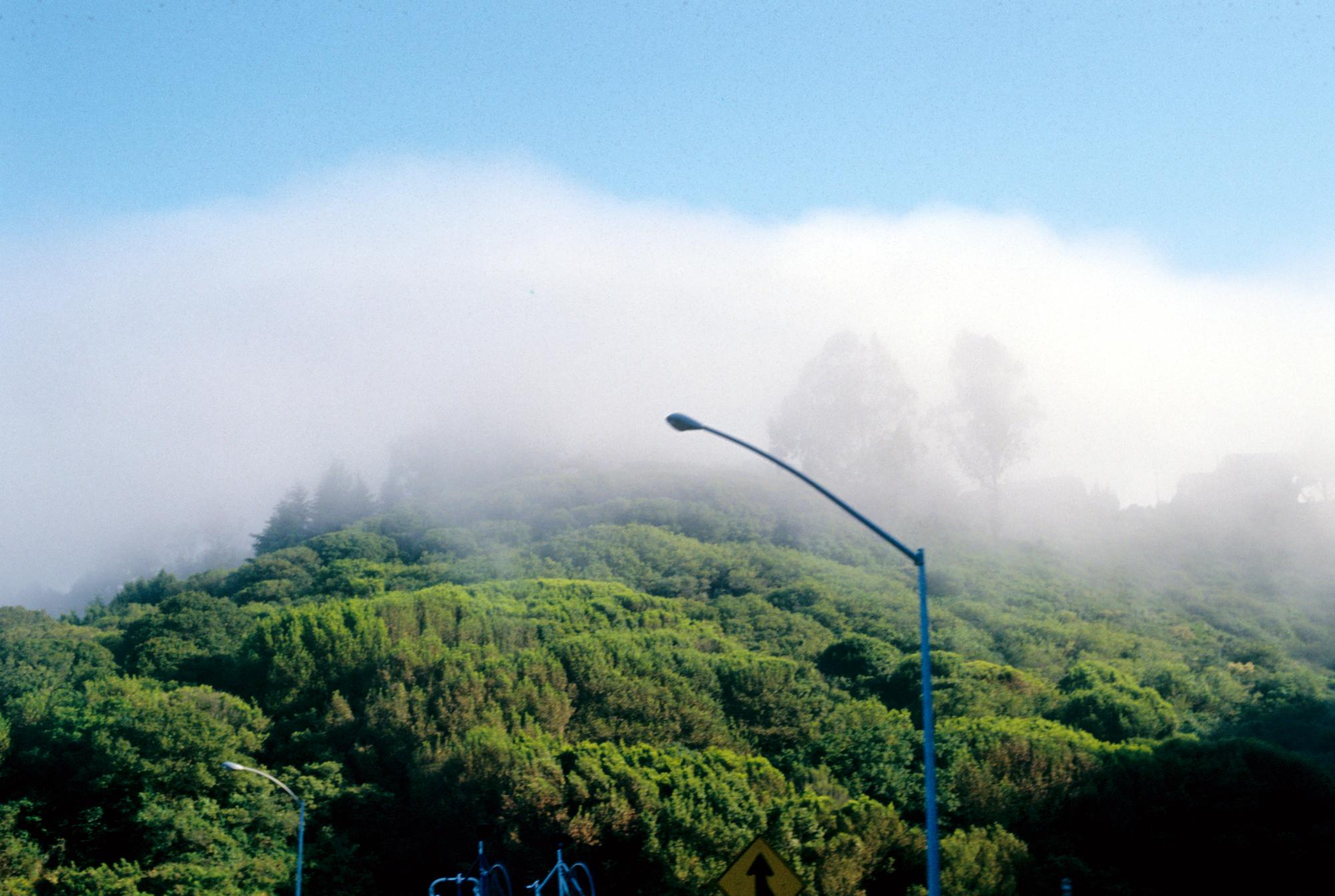 California - Marin Fog #2