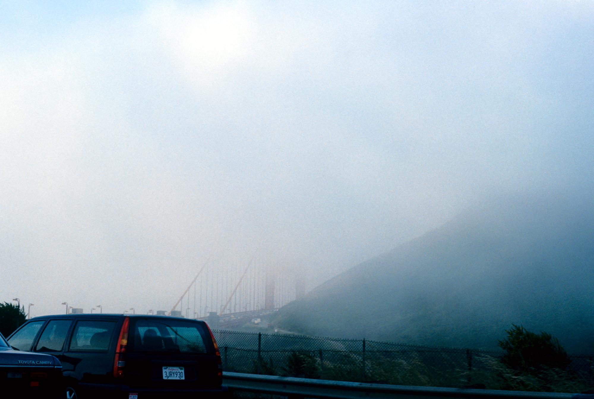 California - Marin Fog #3