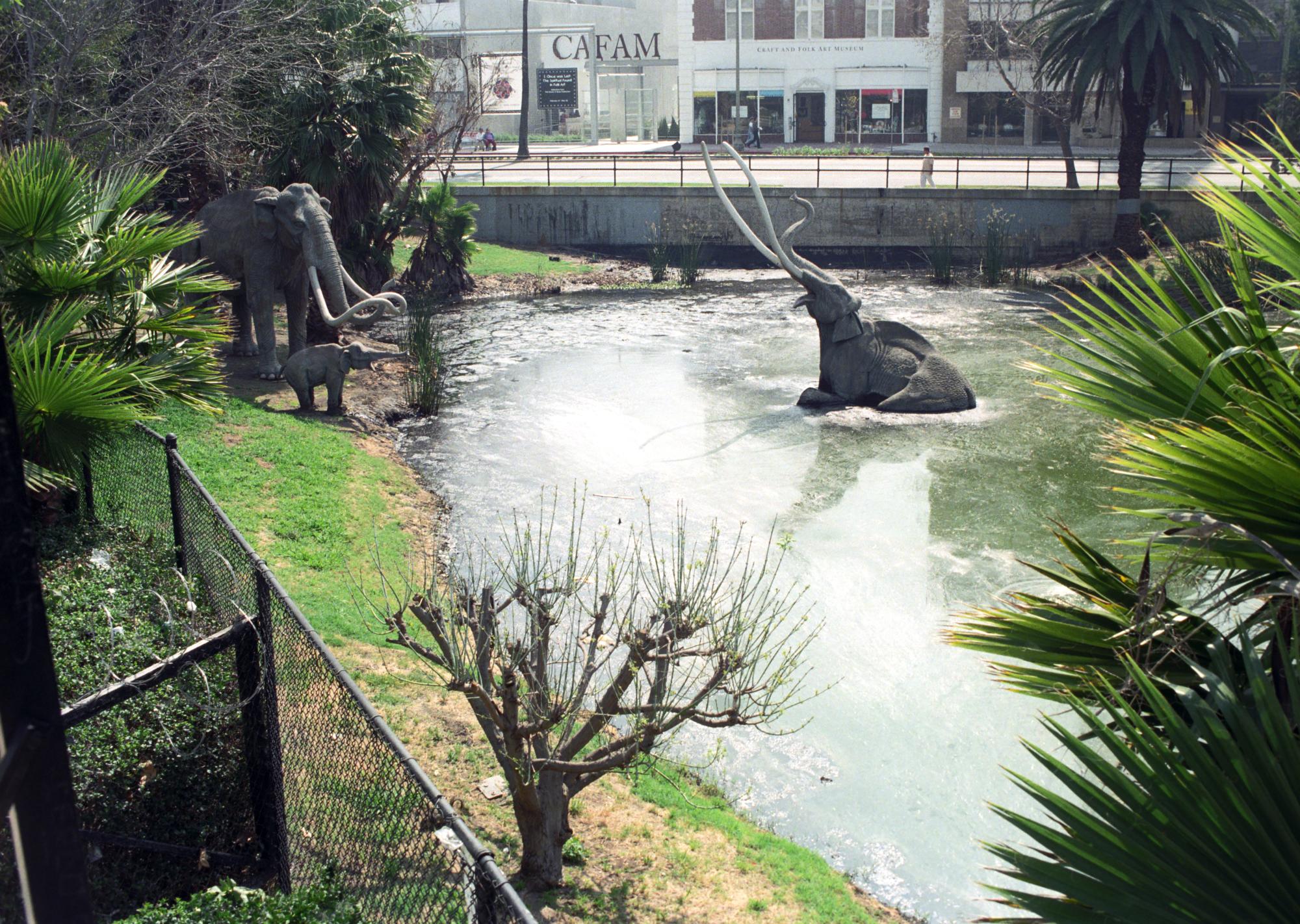 California - La Brea Tar Pits #2