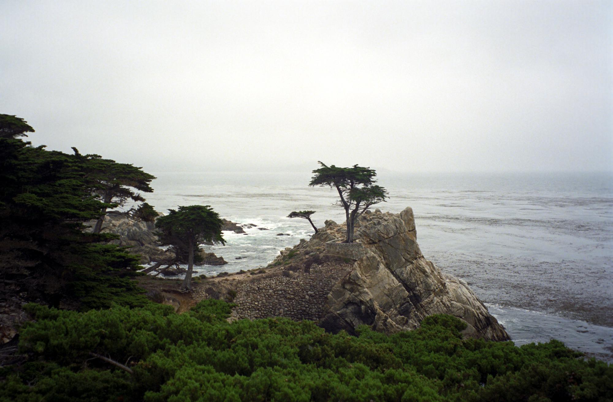 California - Near Monterey