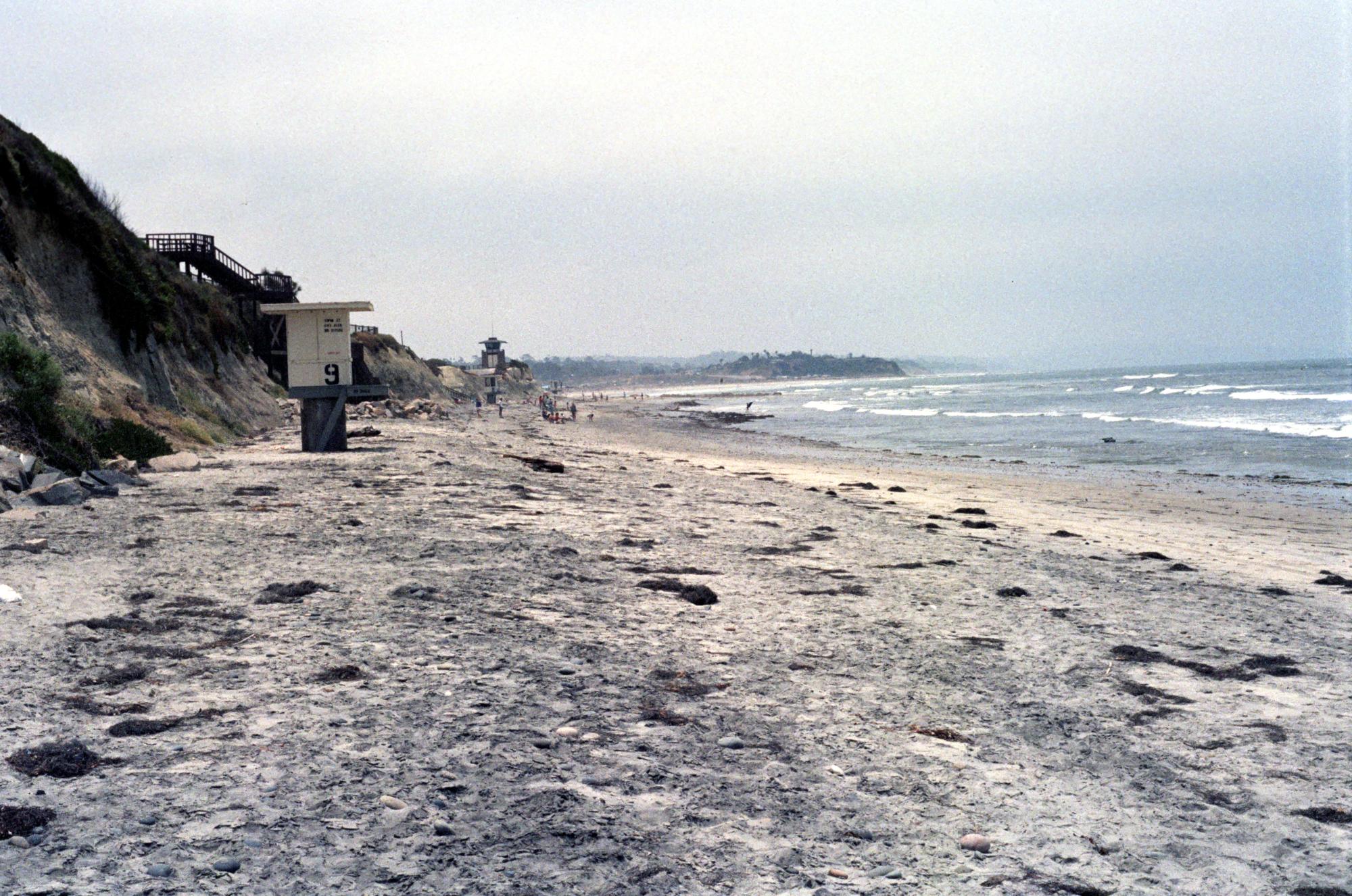 California (1992-2014) - Cardiff Beach #1