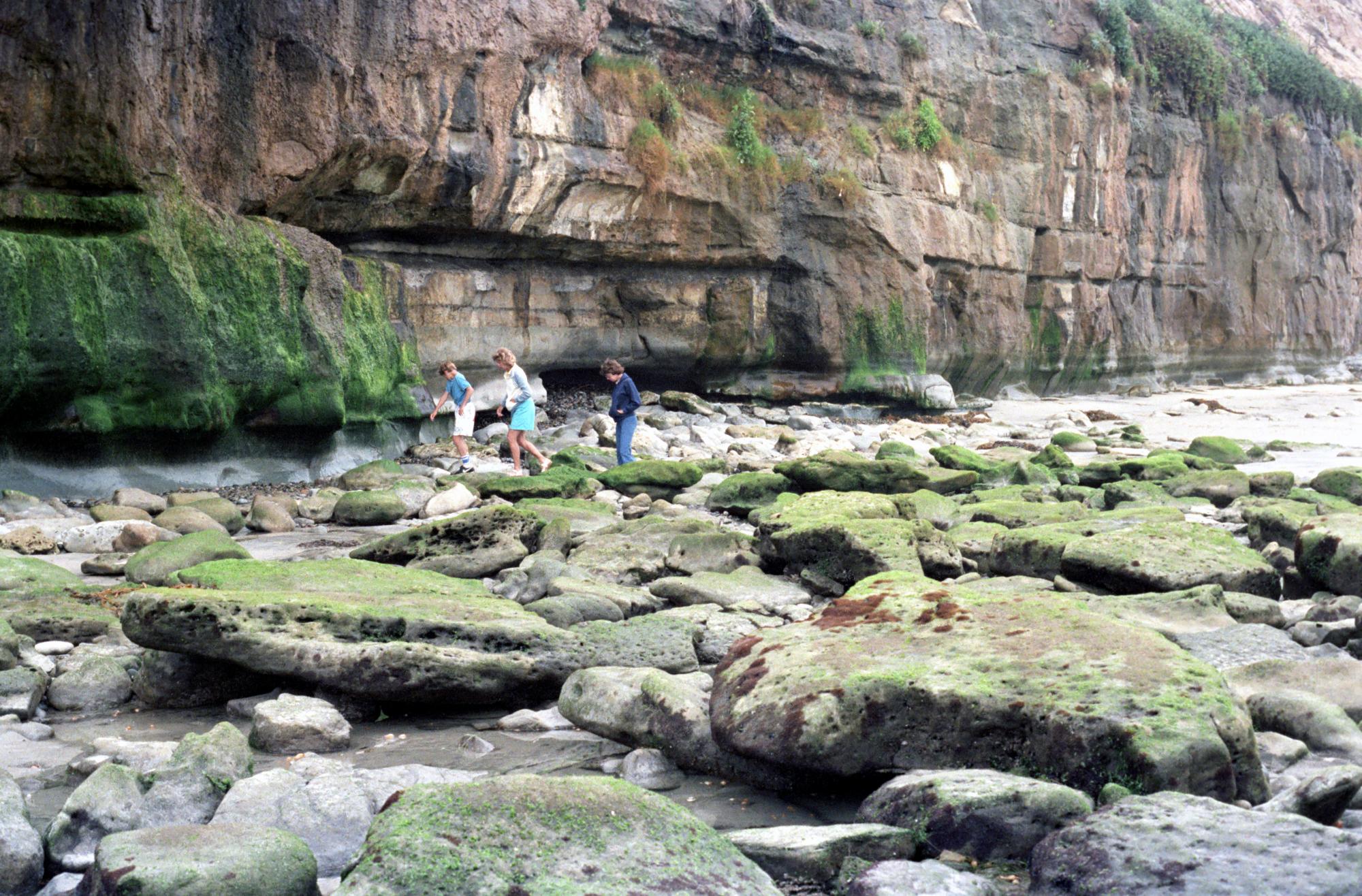 California (1992-2014) - Cardiff Beach #4