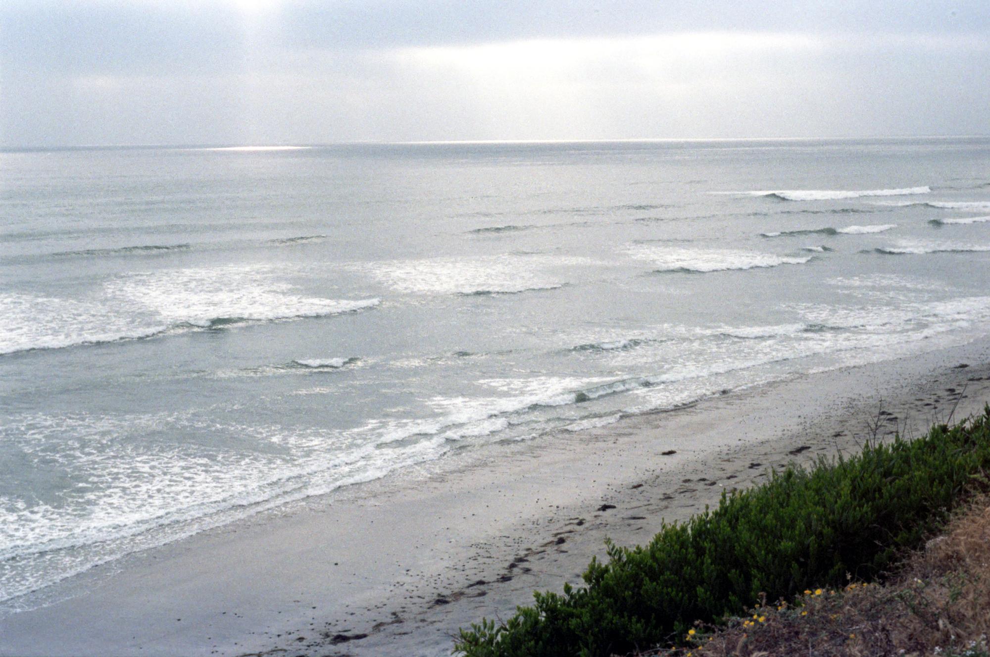 California (1992-2014) - Cardiff Beach #5