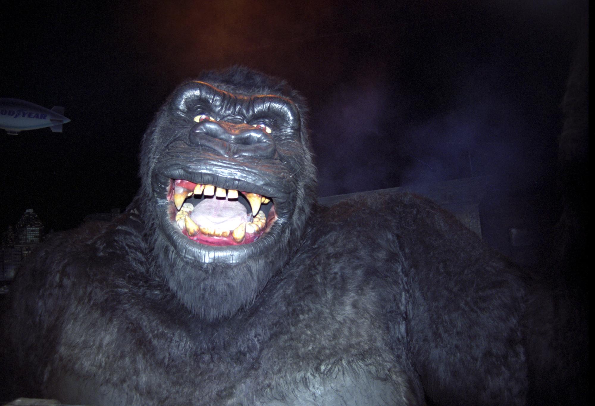 California (1992-2014) - Gorilla