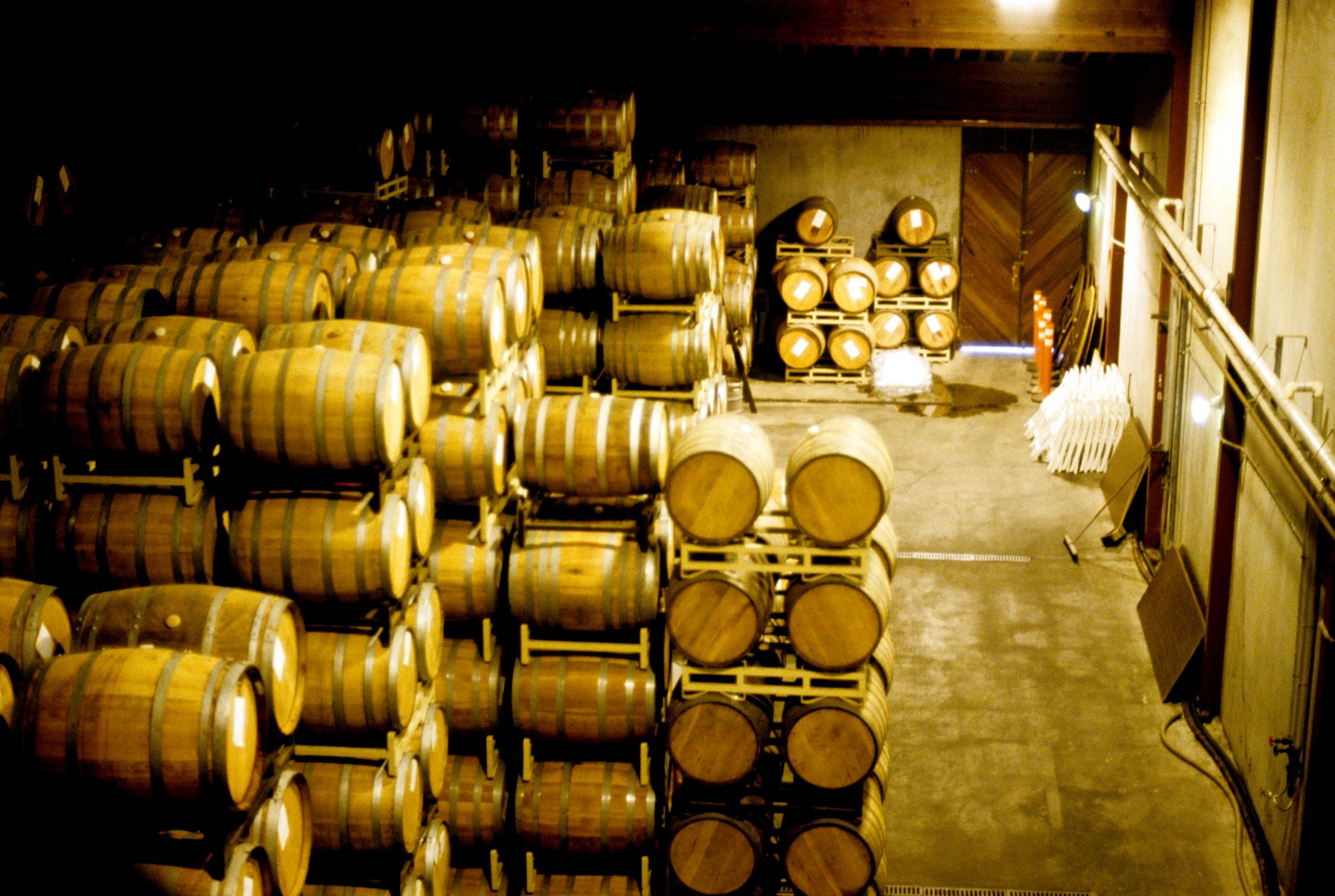 California (1992-2014) - Piper Sonoma #3