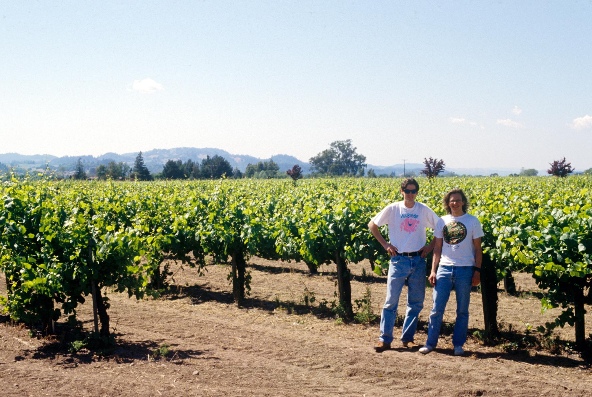 California (1992-2014) - Vineyard