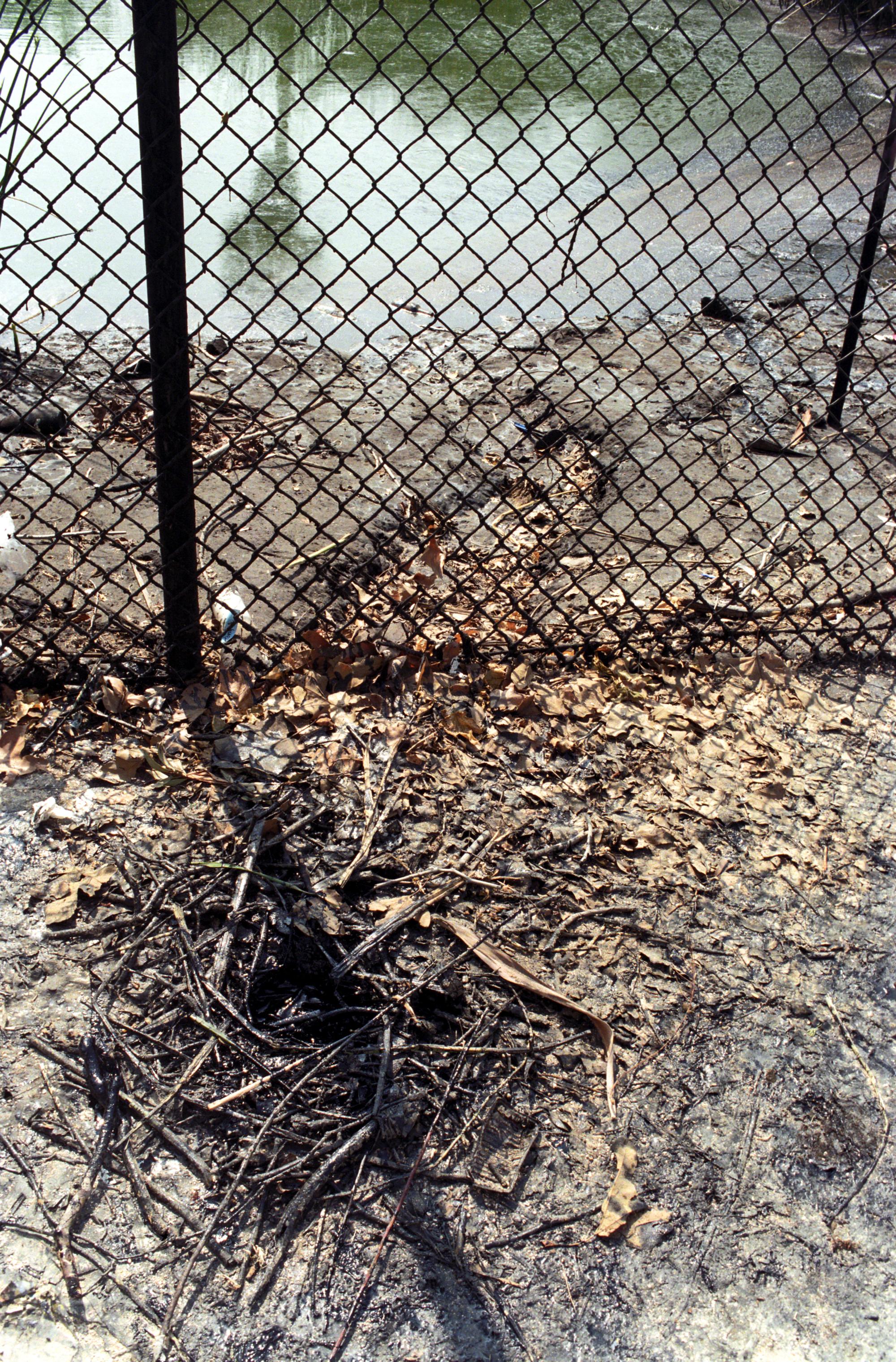 California (1992-2014) - Leaking Tar #1